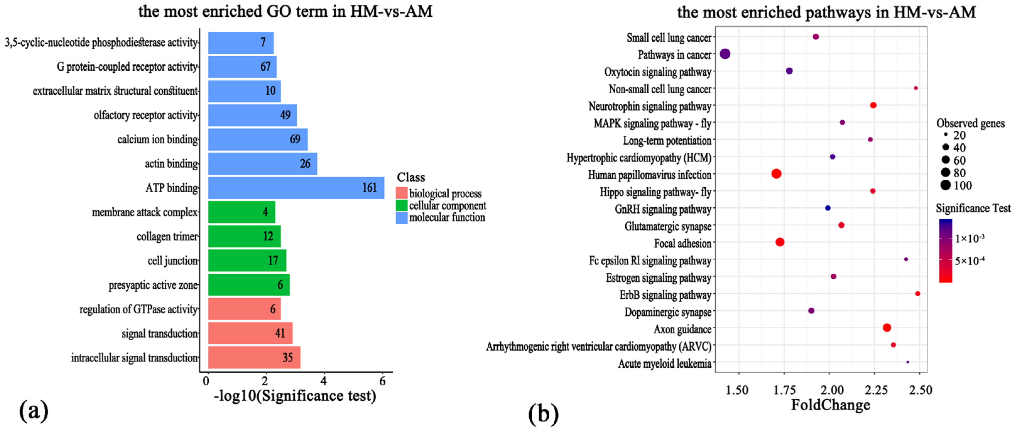 Animals 14 01972 g004