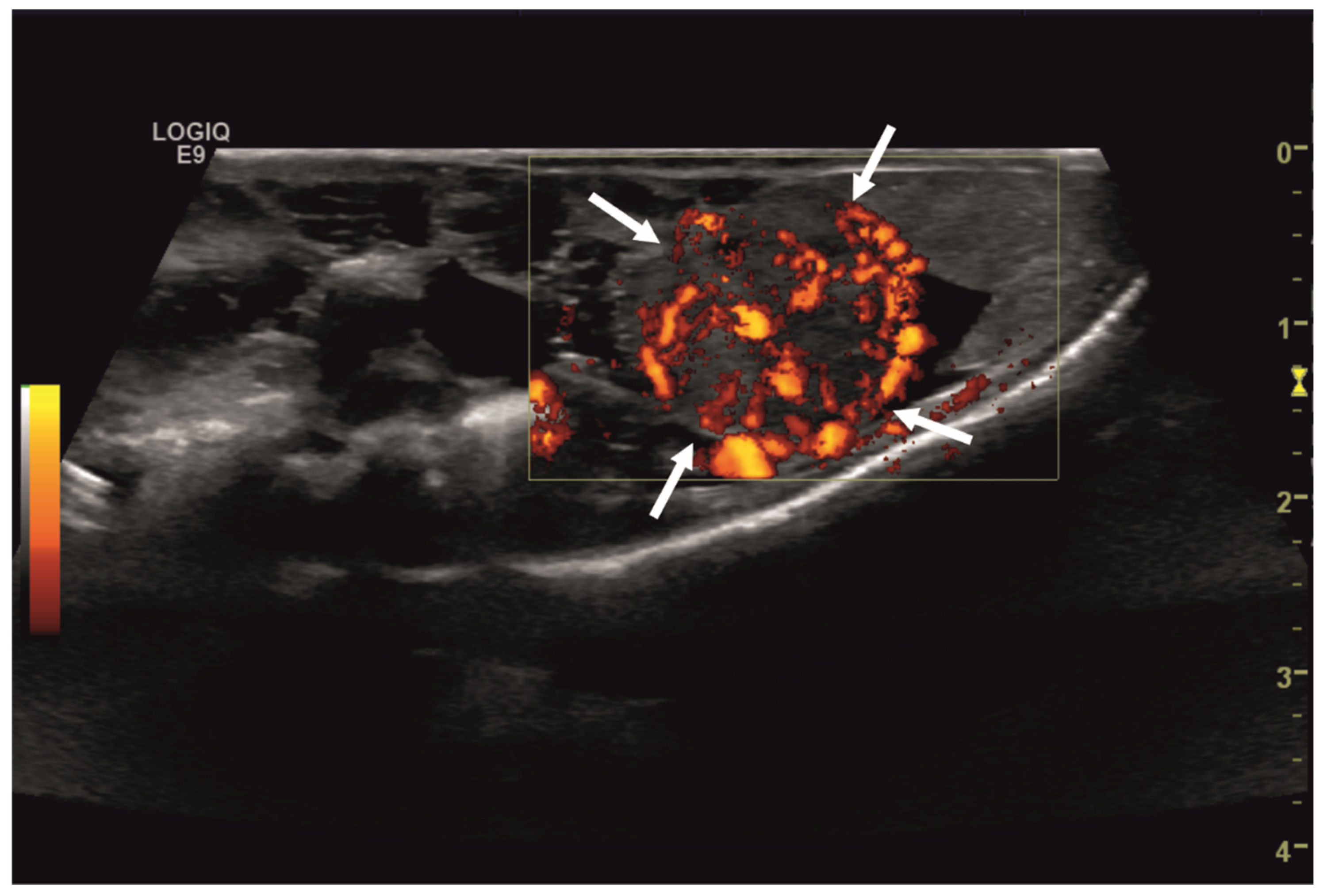 Animals 14 01976 g003