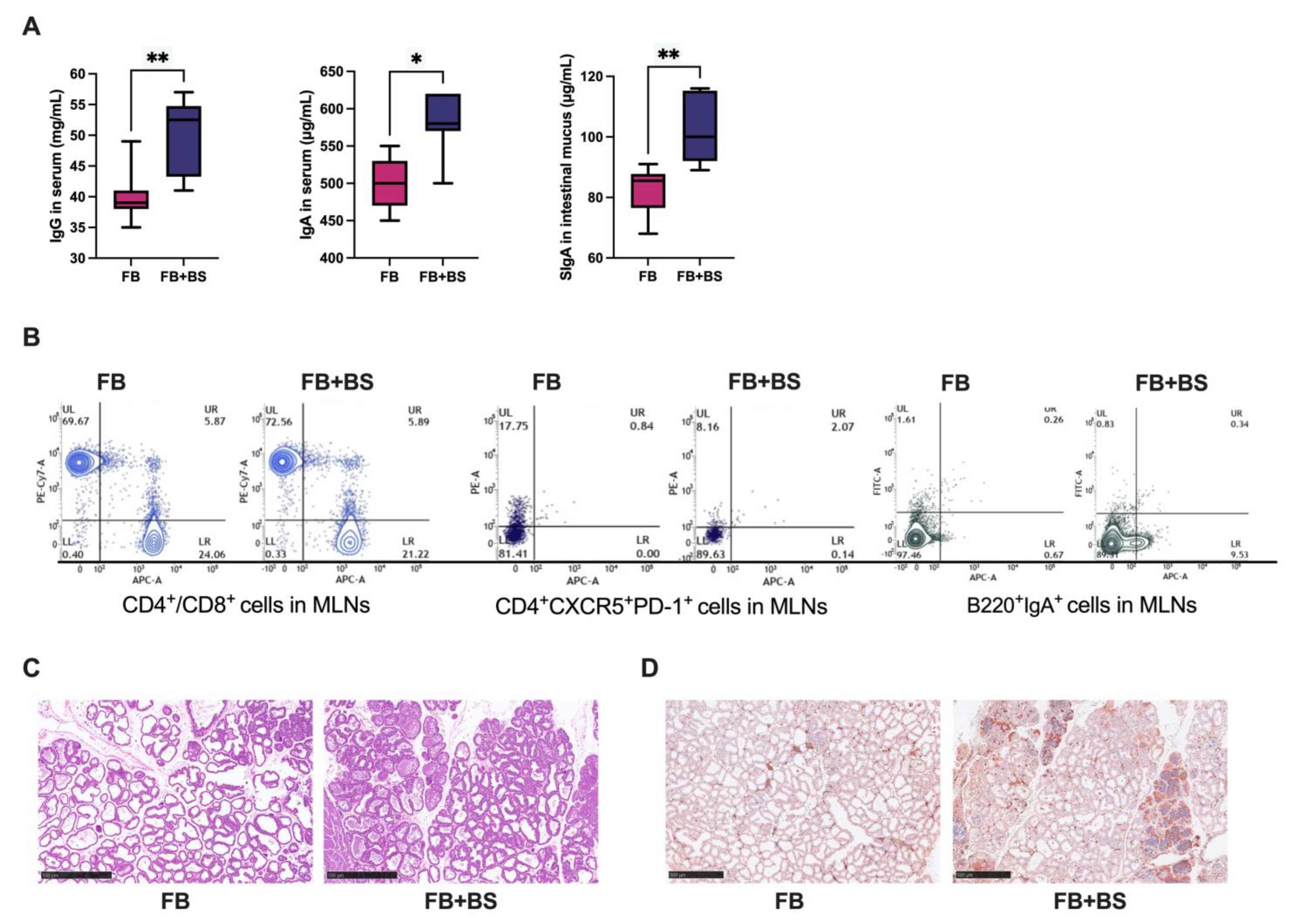 Animals 14 01978 g002 Animals 14 01978 g002