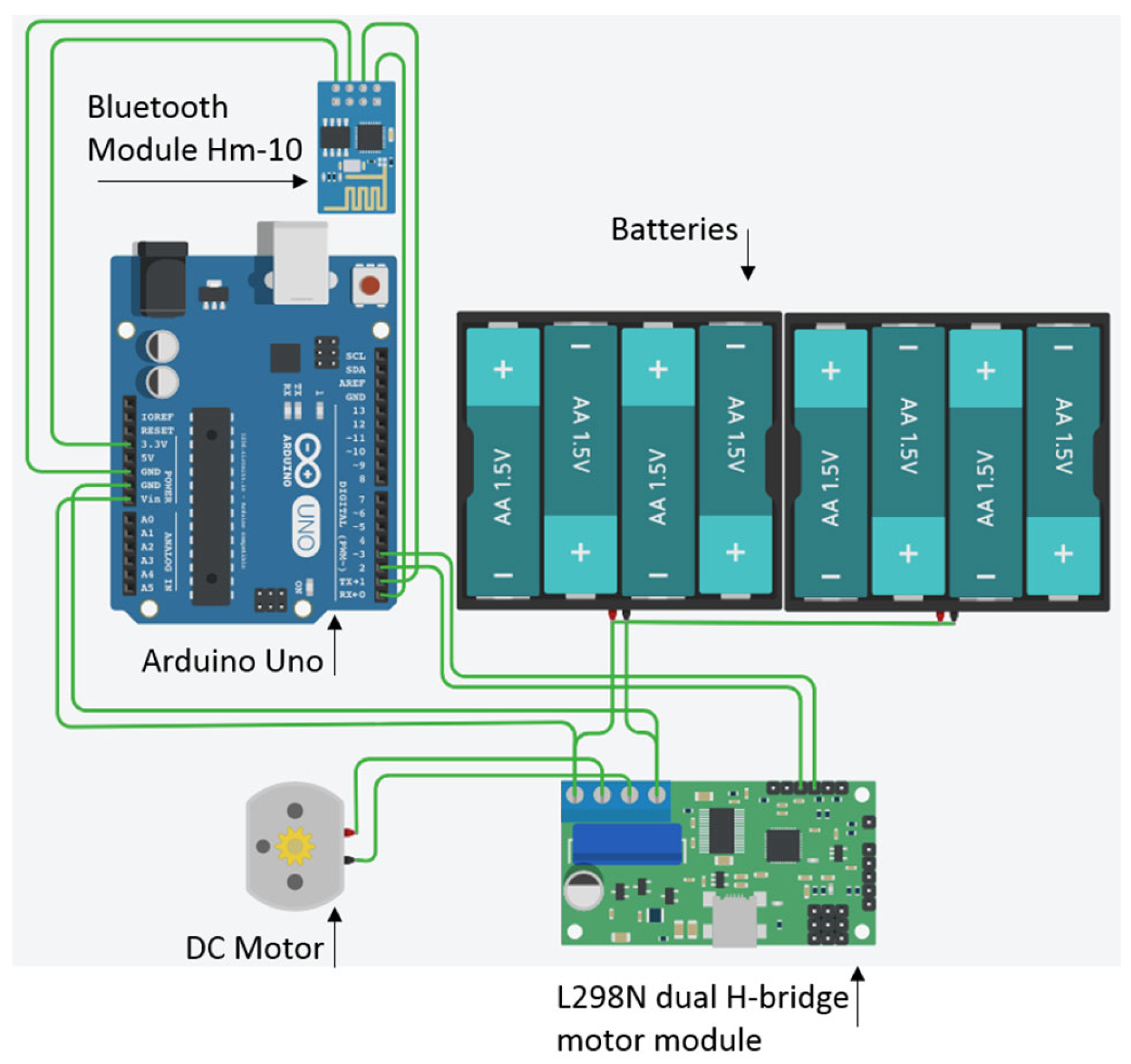 Animals 14 01979 g002