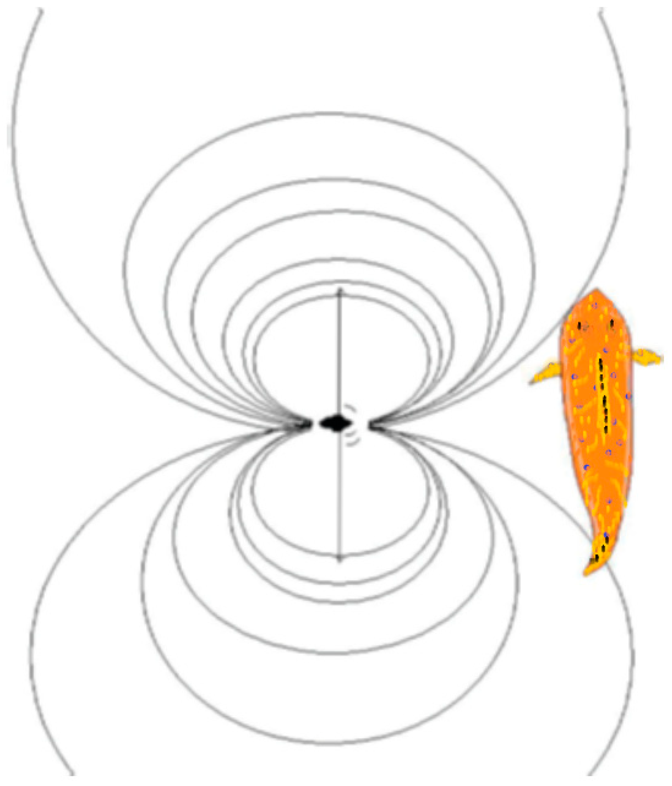 Animals 14 01984 g001 Animals 14 01984 g001