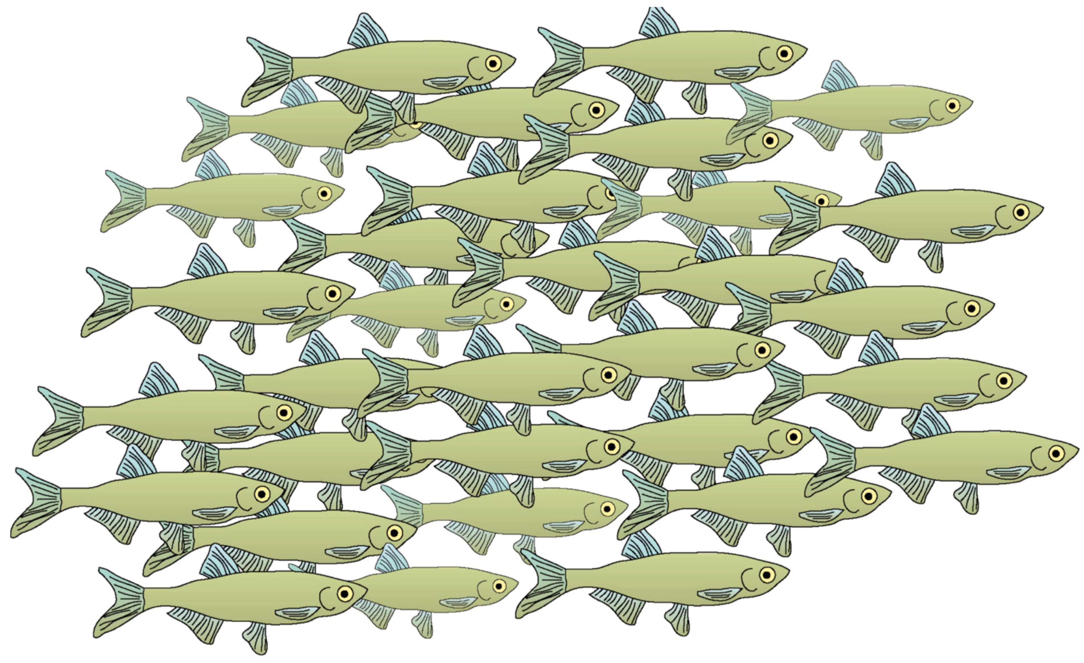 Animals 14 01984 g003 Animals 14 01984 g003