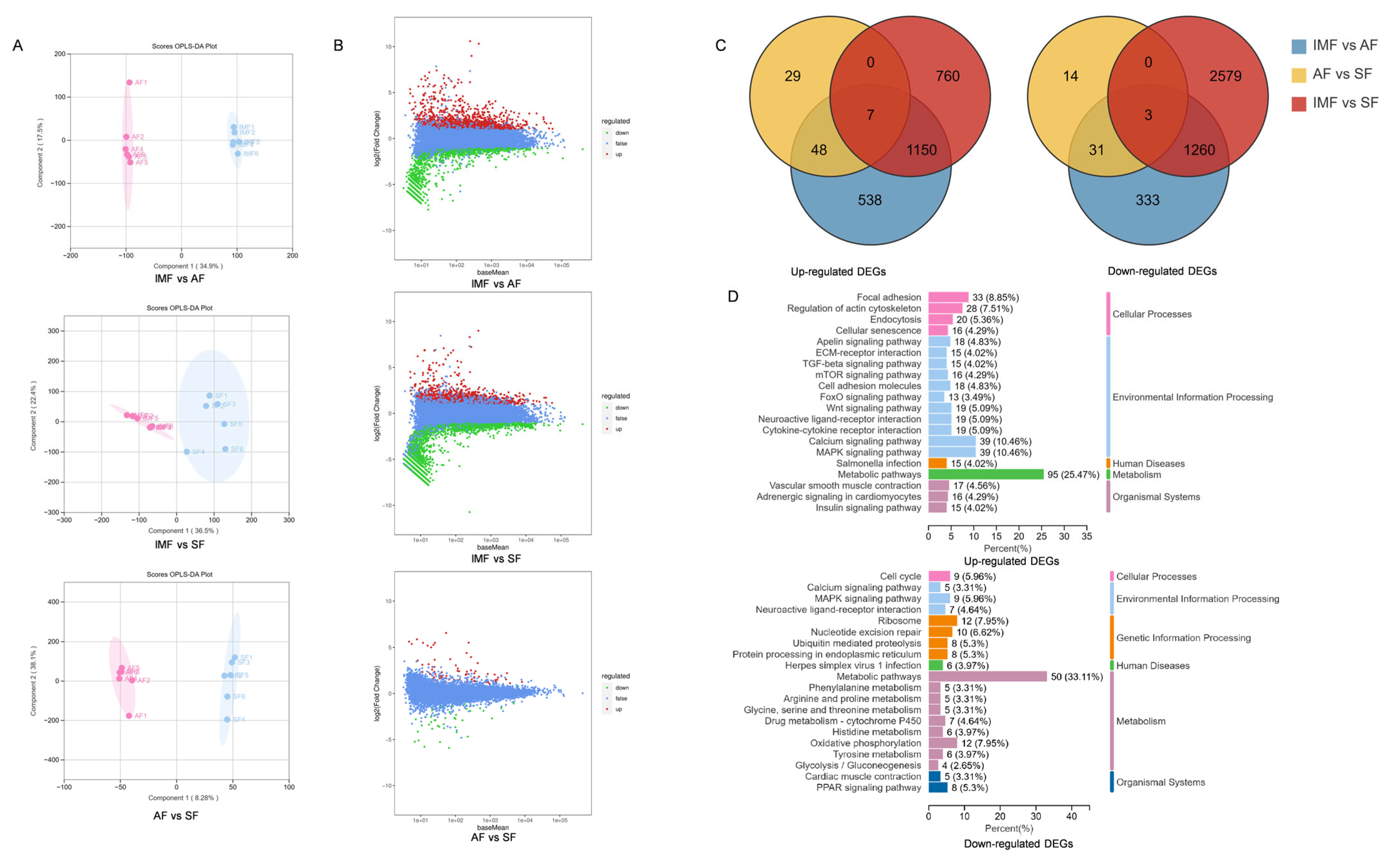 Animals 14 01990 g004