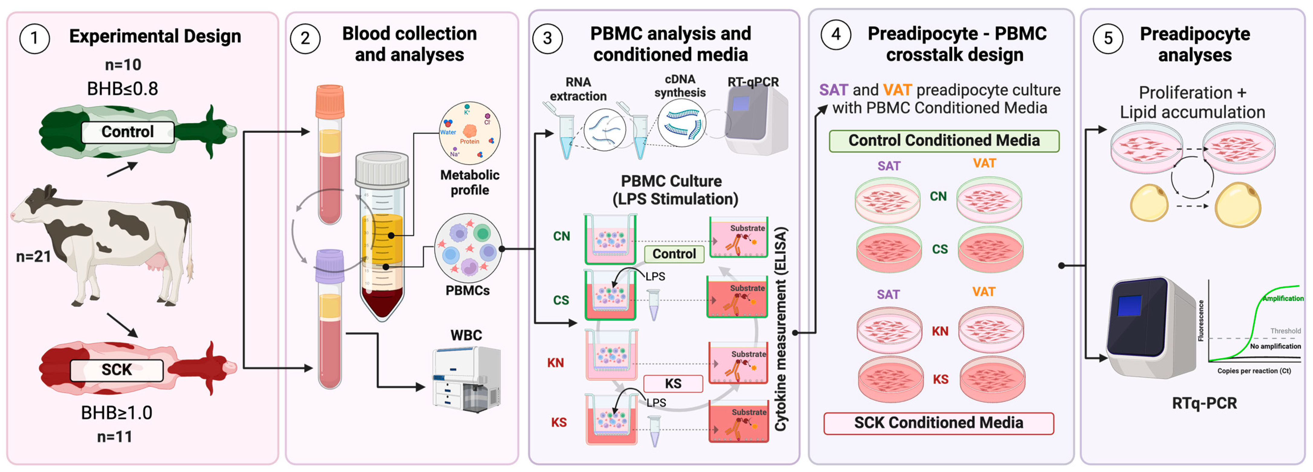 Animals 14 01995 g001