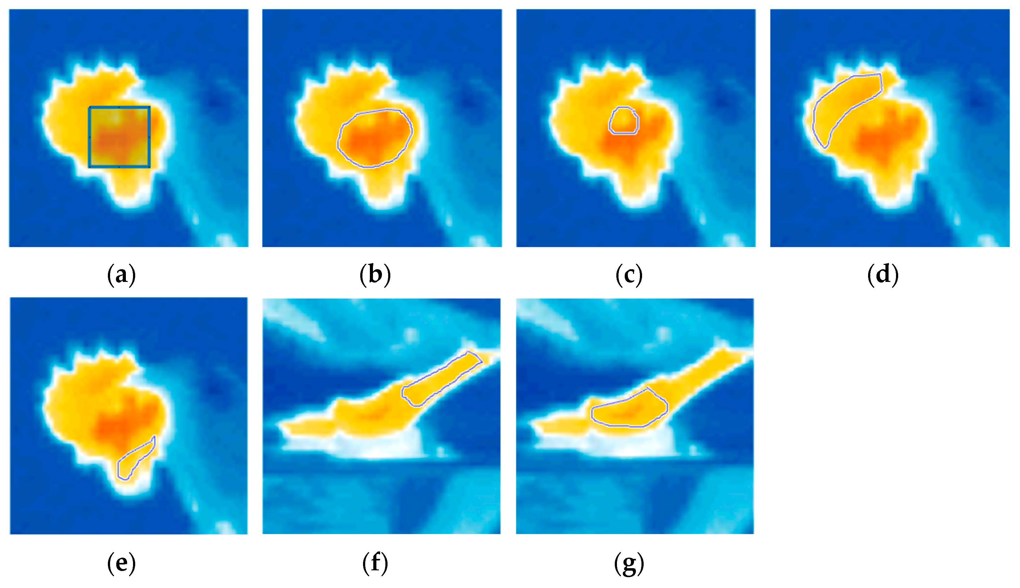 Animals 14 01996 g001