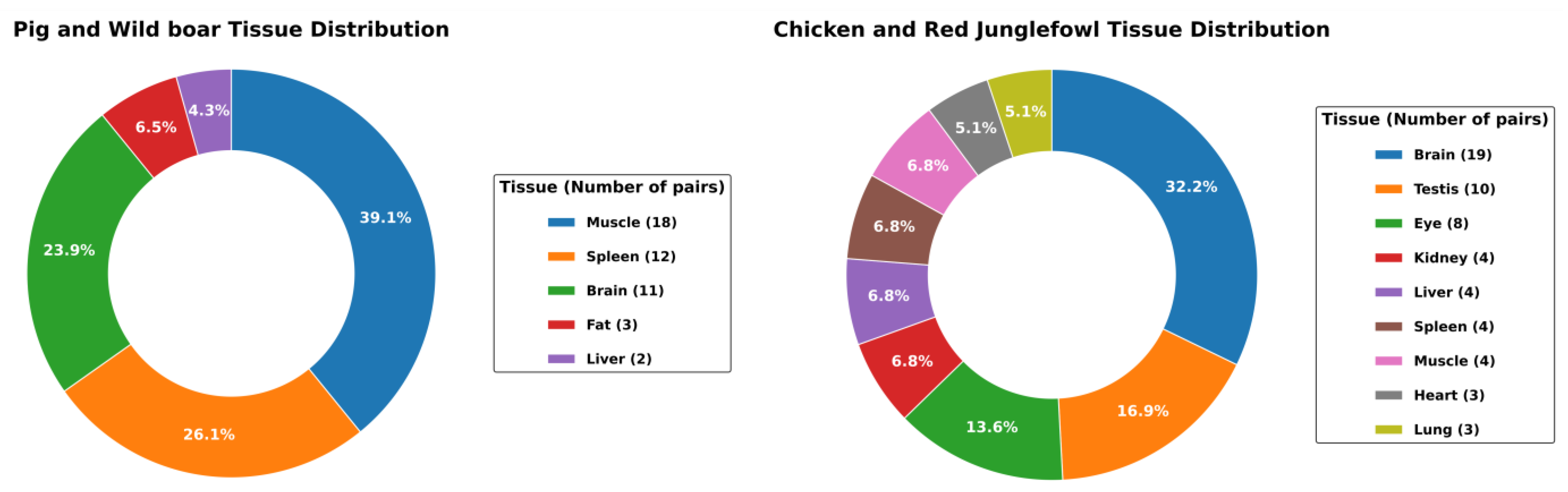 Animals 14 01998 g002