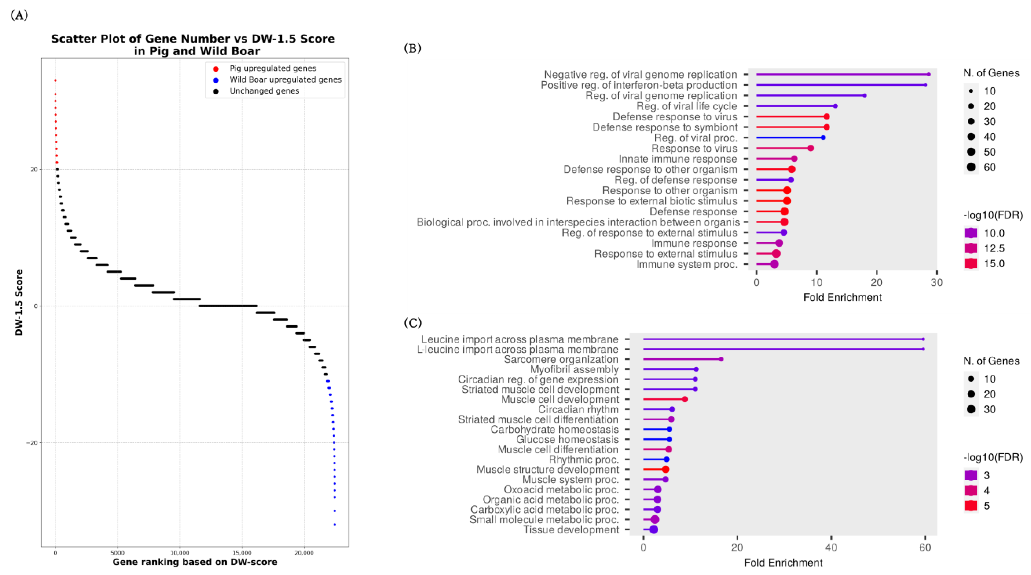 Animals 14 01998 g003