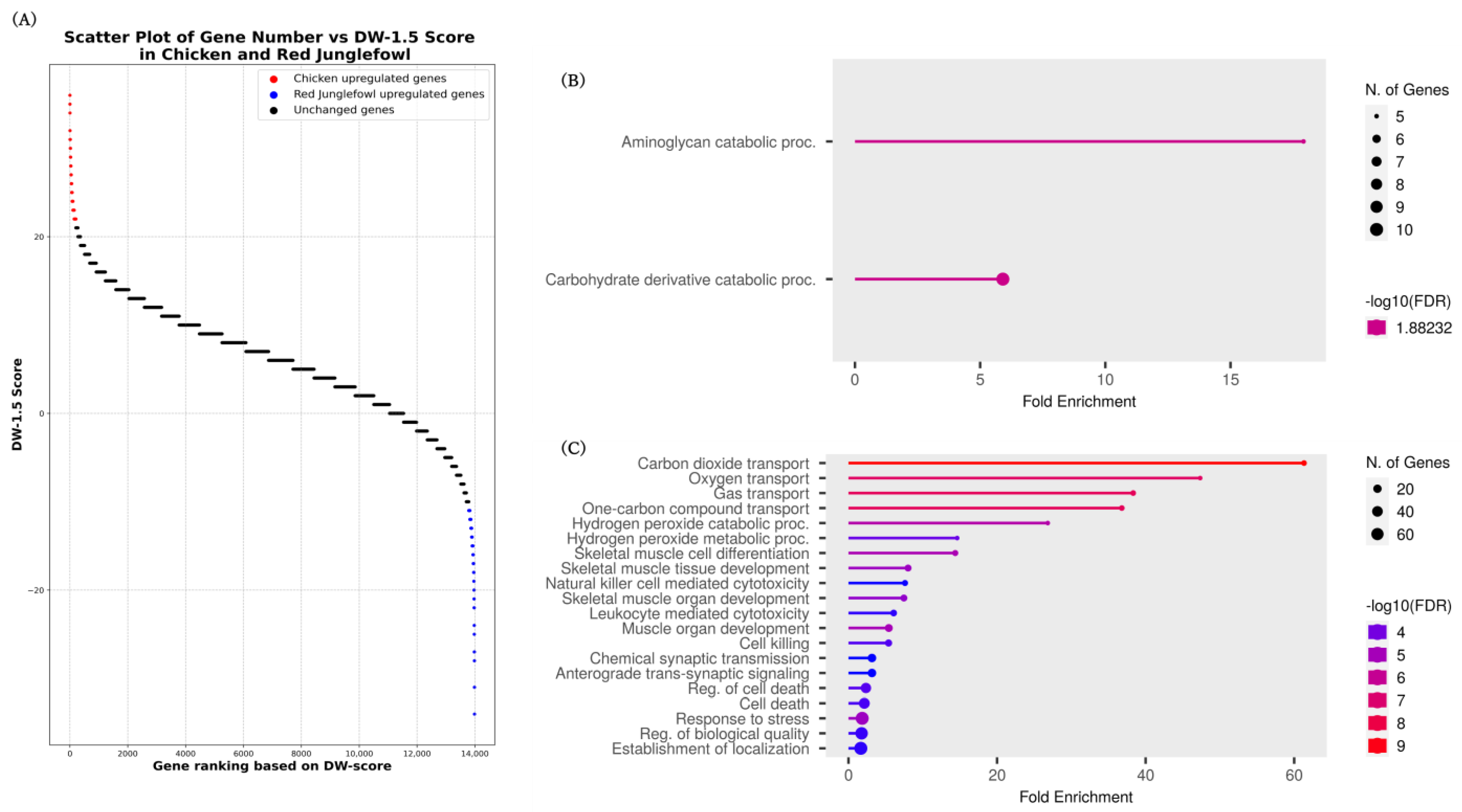 Animals 14 01998 g004