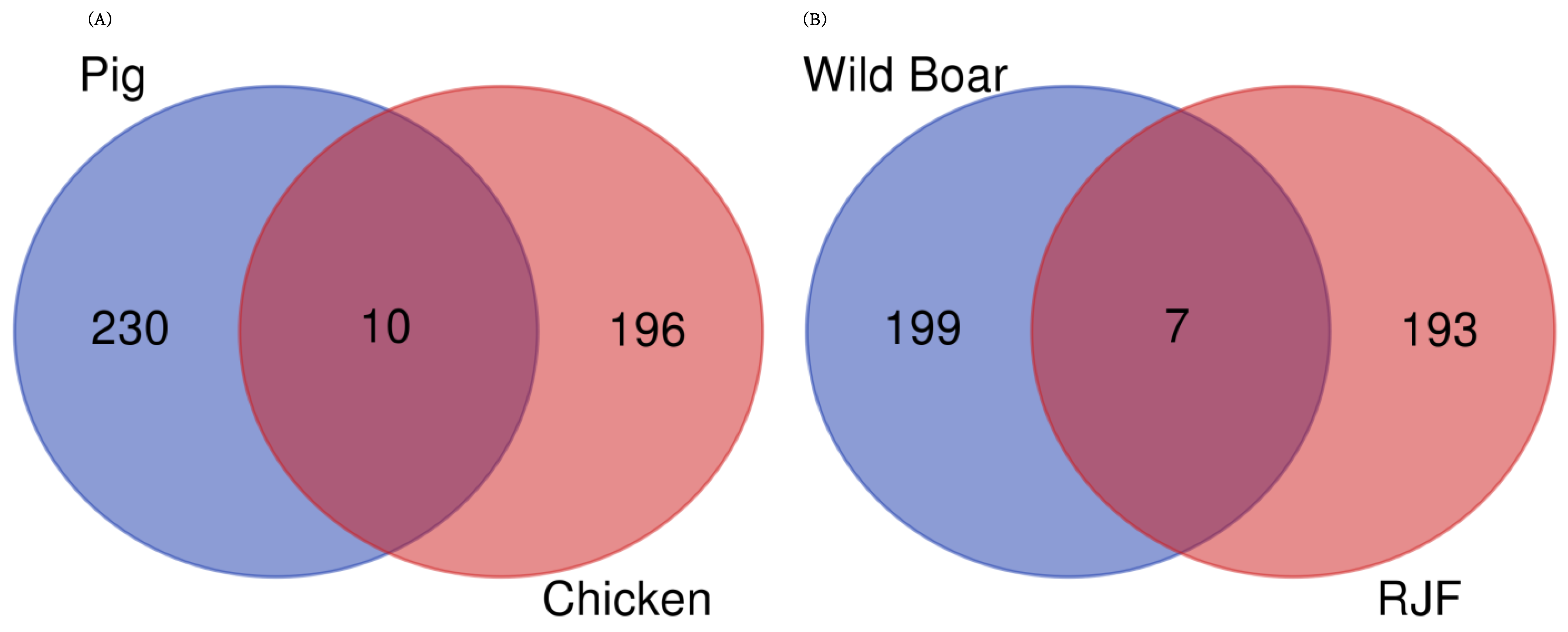 Animals 14 01998 g005