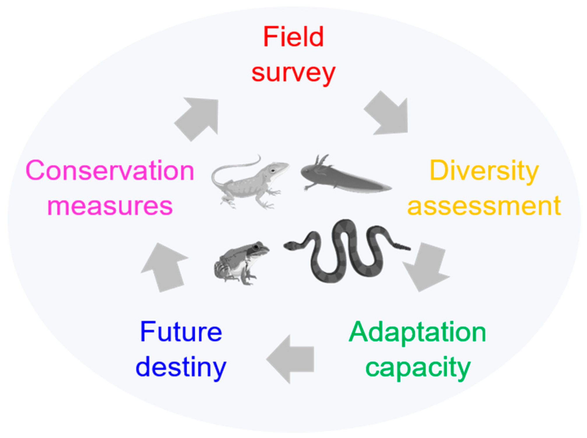 Animals 14 02004 g001