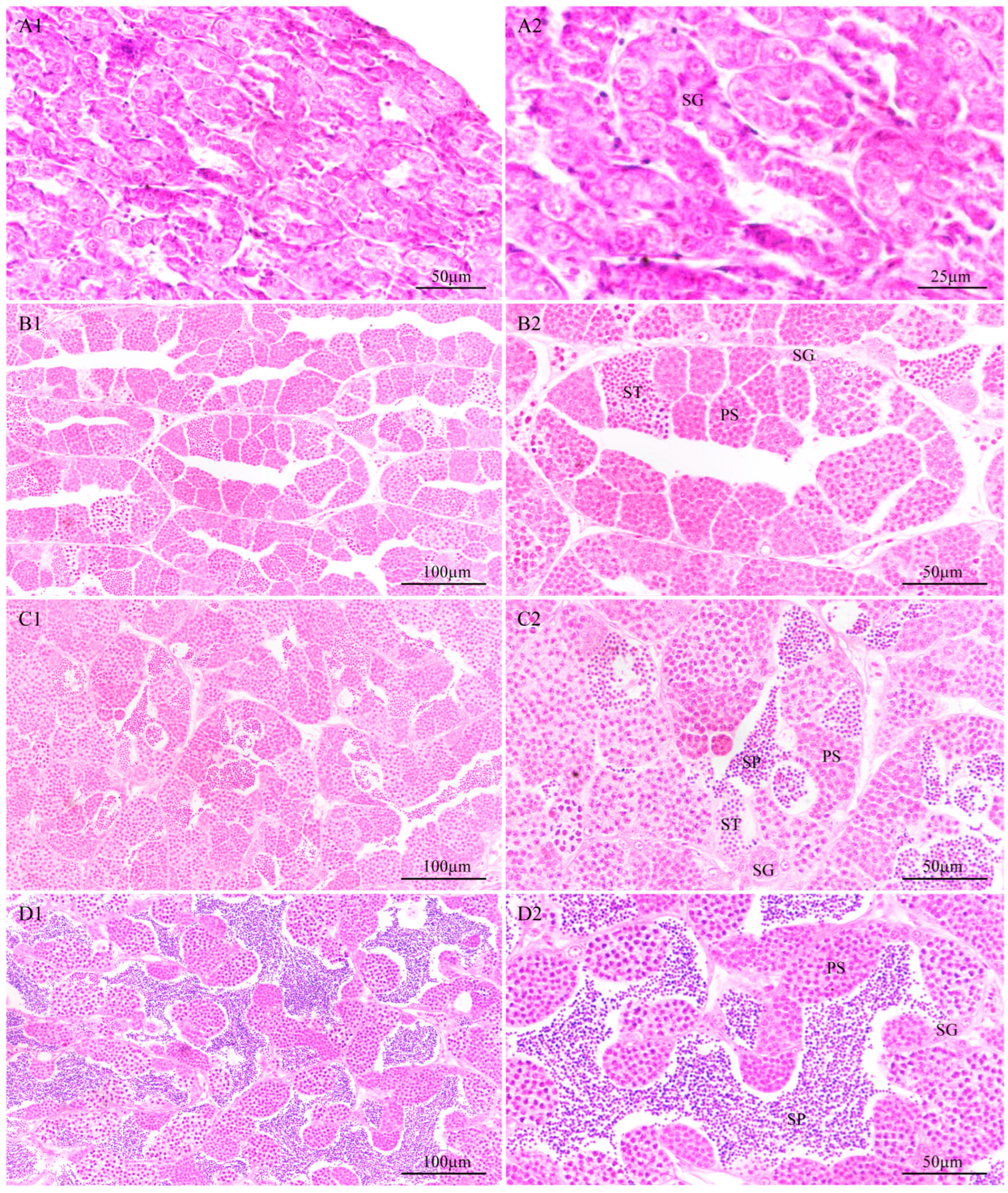 Animals 14 02006 g003