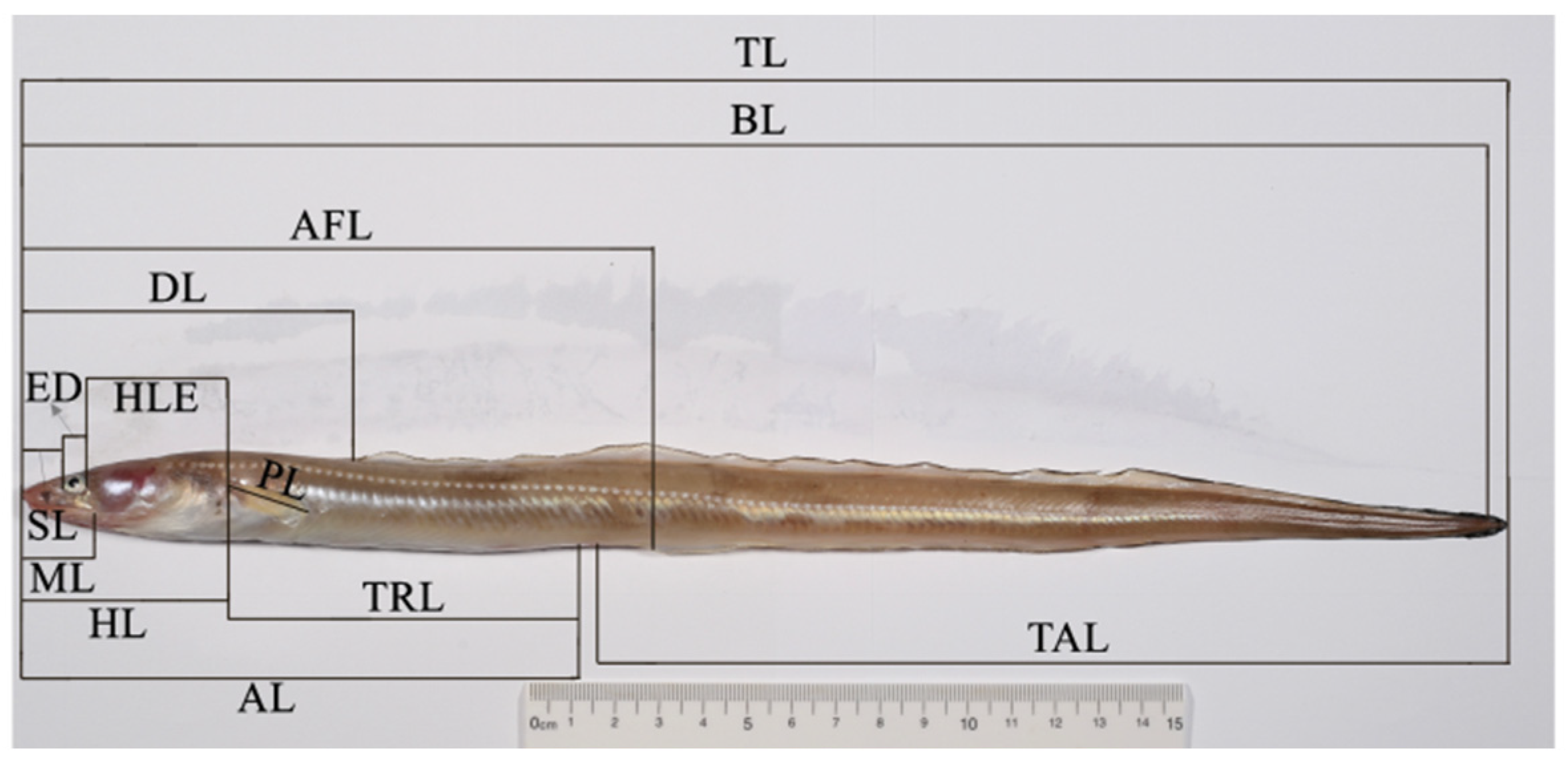 Animals 14 02007 g002