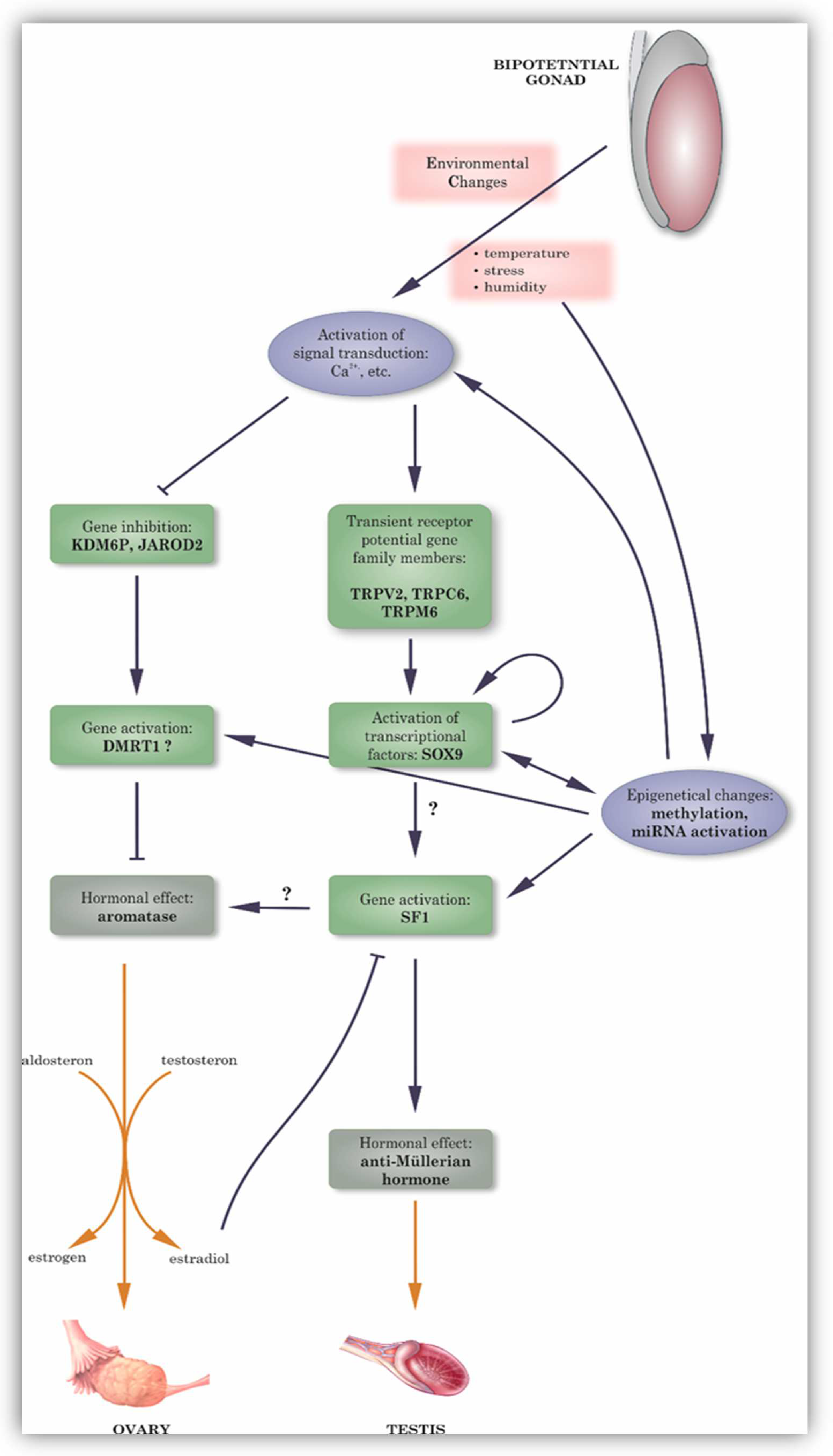 Animals 14 02015 g002 Animals 14 02015 g002