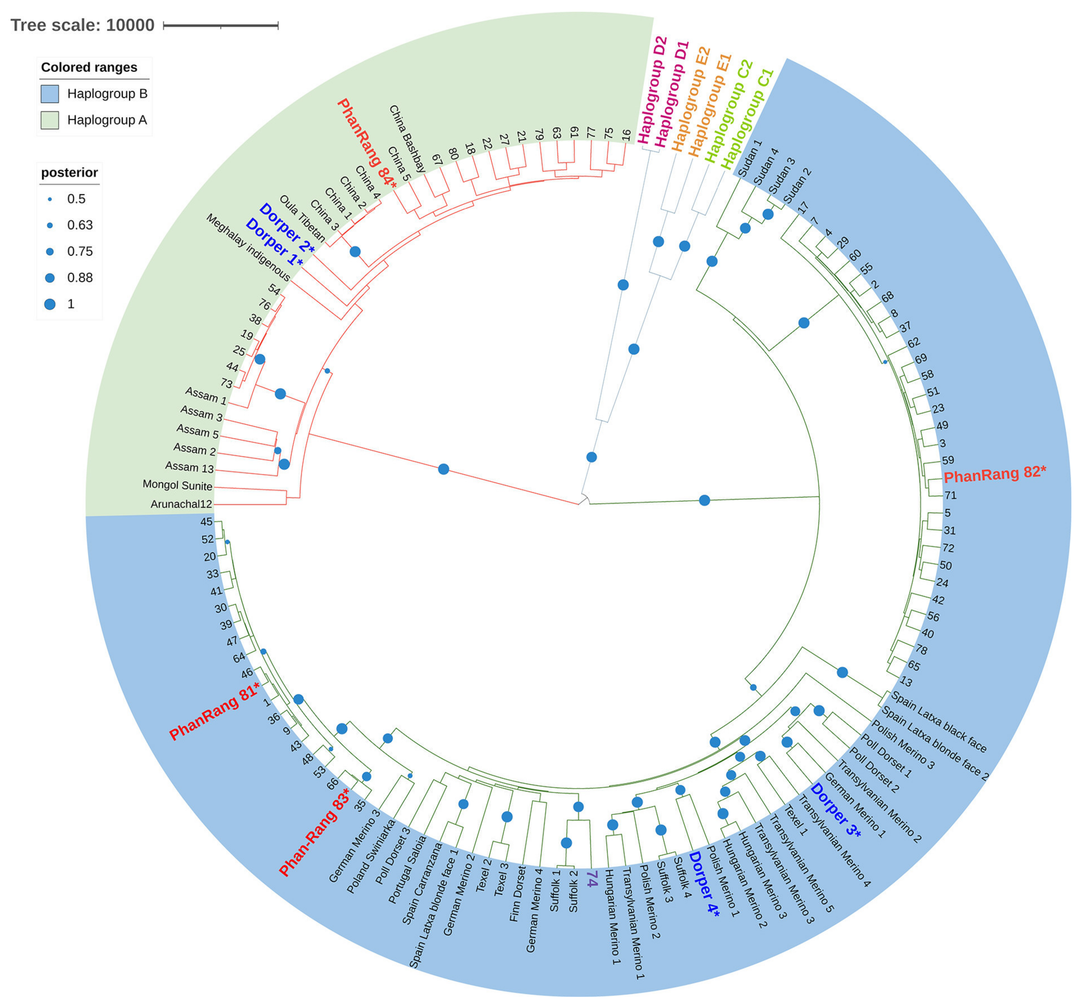 Animals 14 02020 g002