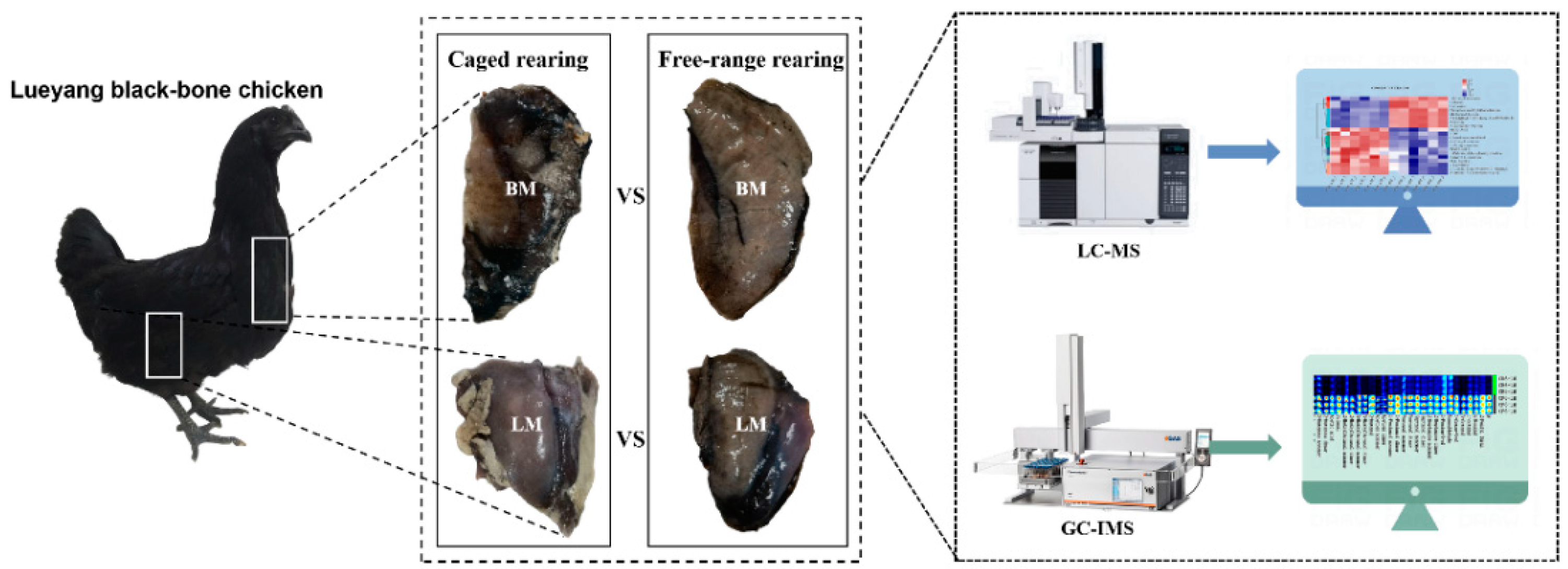 Animals 14 02041 g001