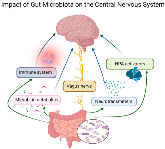 The Relationship between Canine Behavioral Disorders and Gut