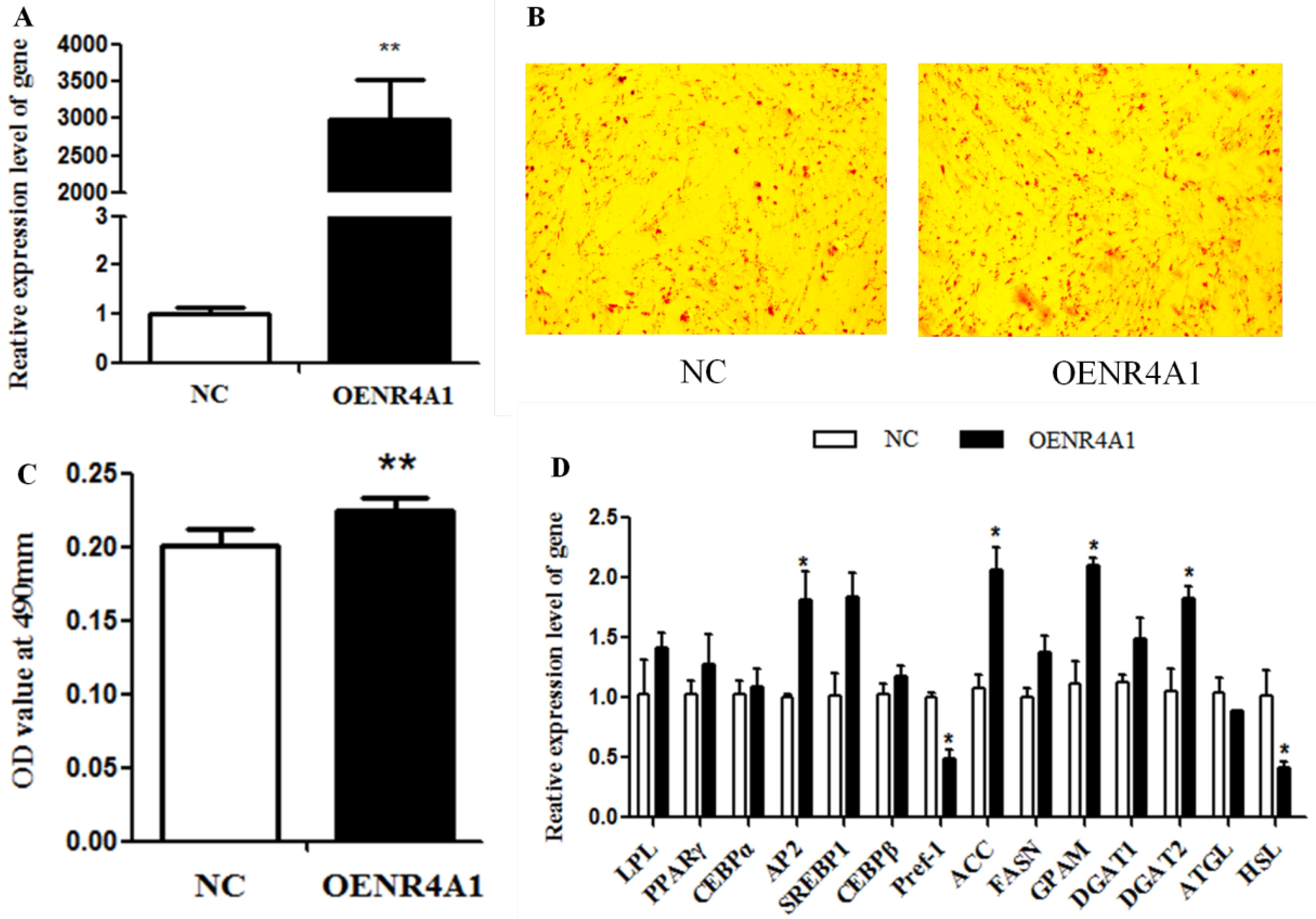 Animals 14 02051 g002