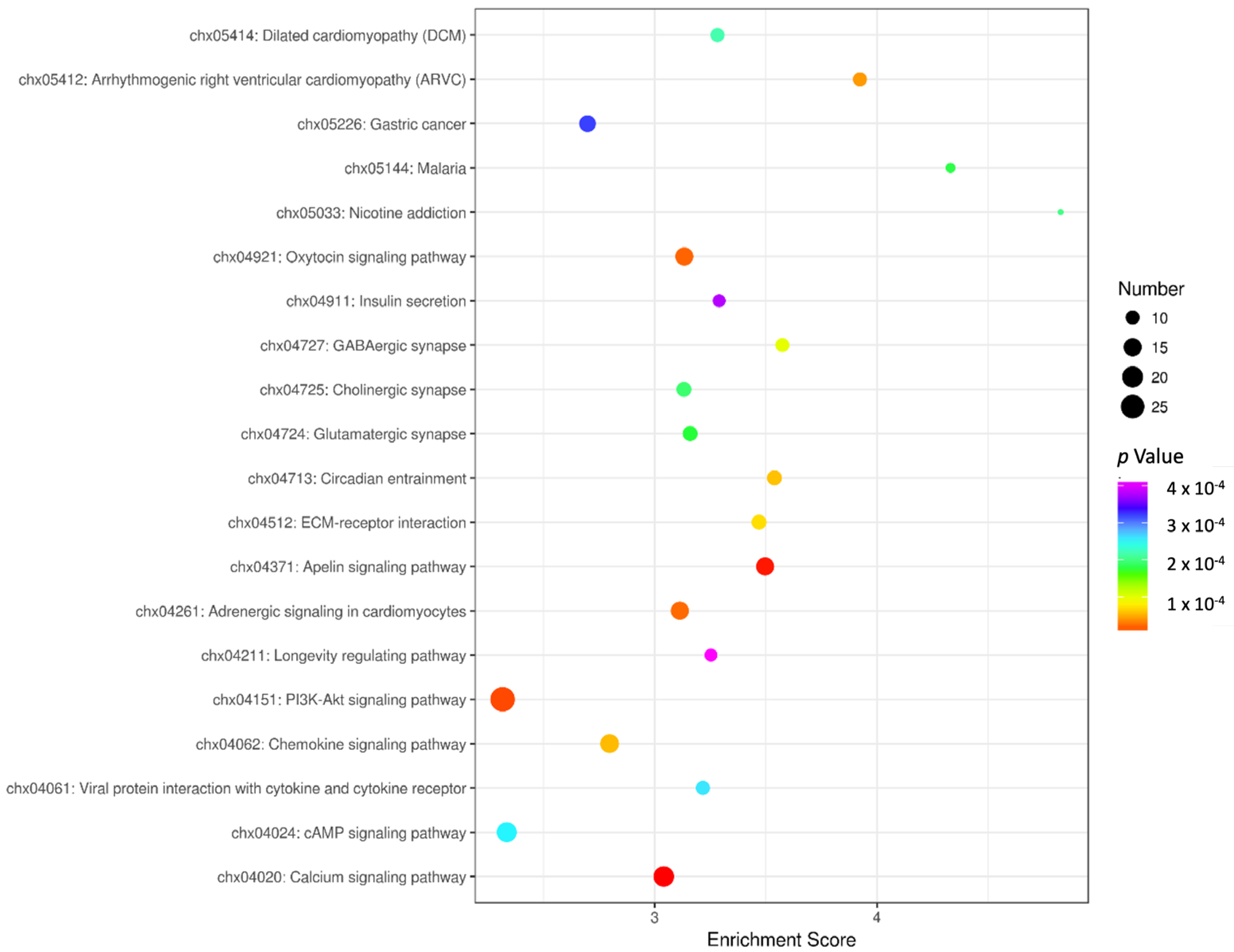 Animals 14 02051 g004