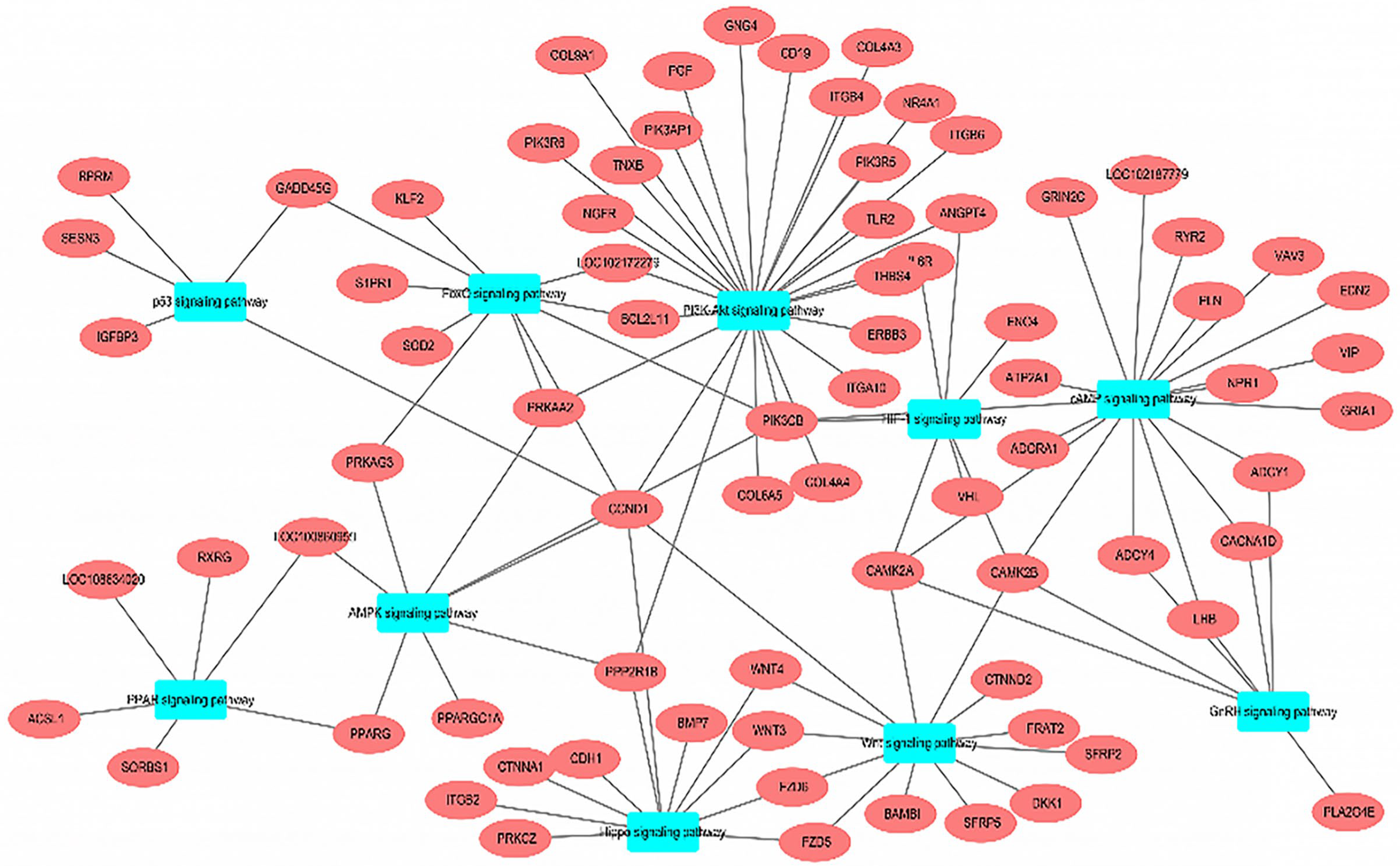 Animals 14 02051 g005