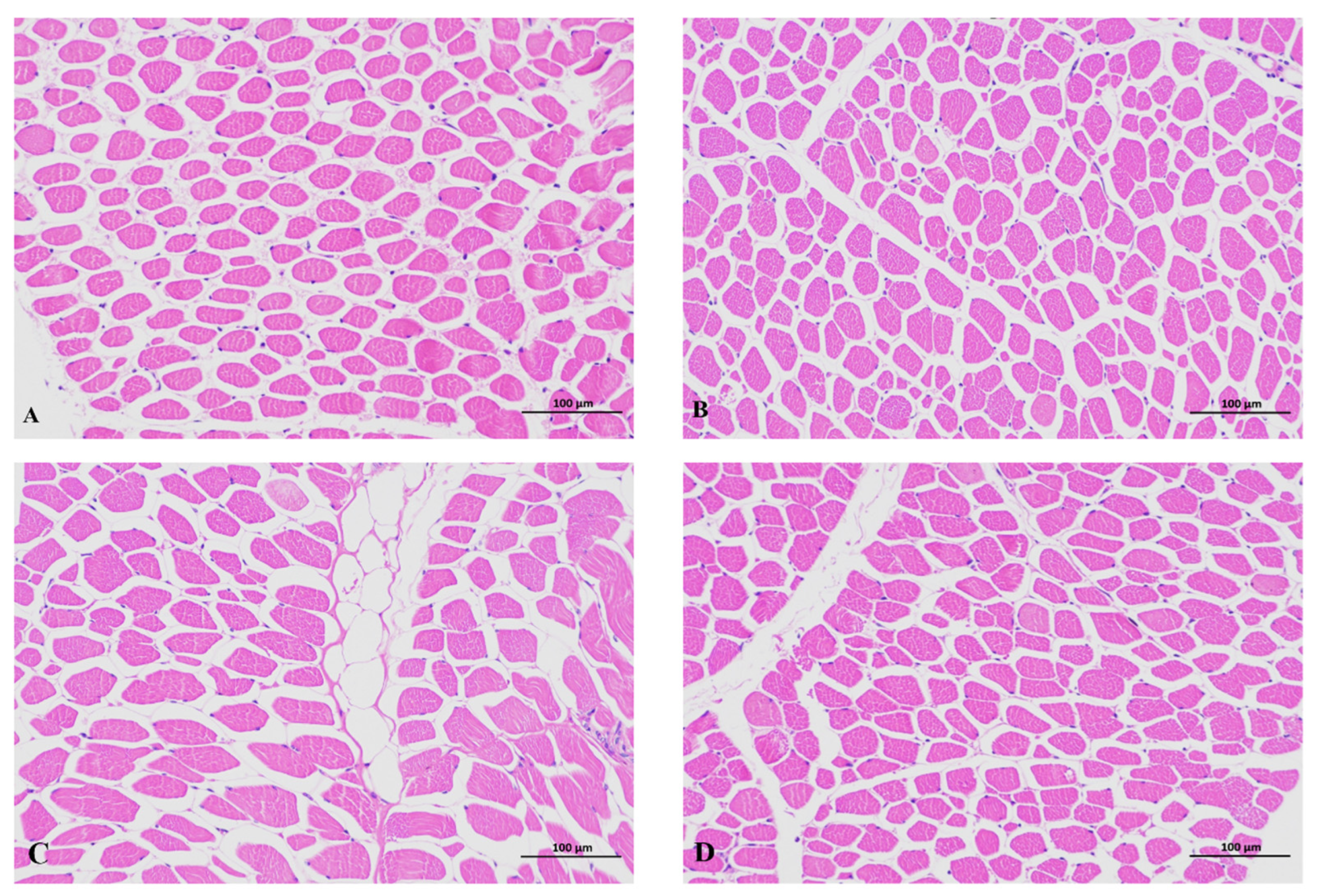 Animals 14 02052 g001