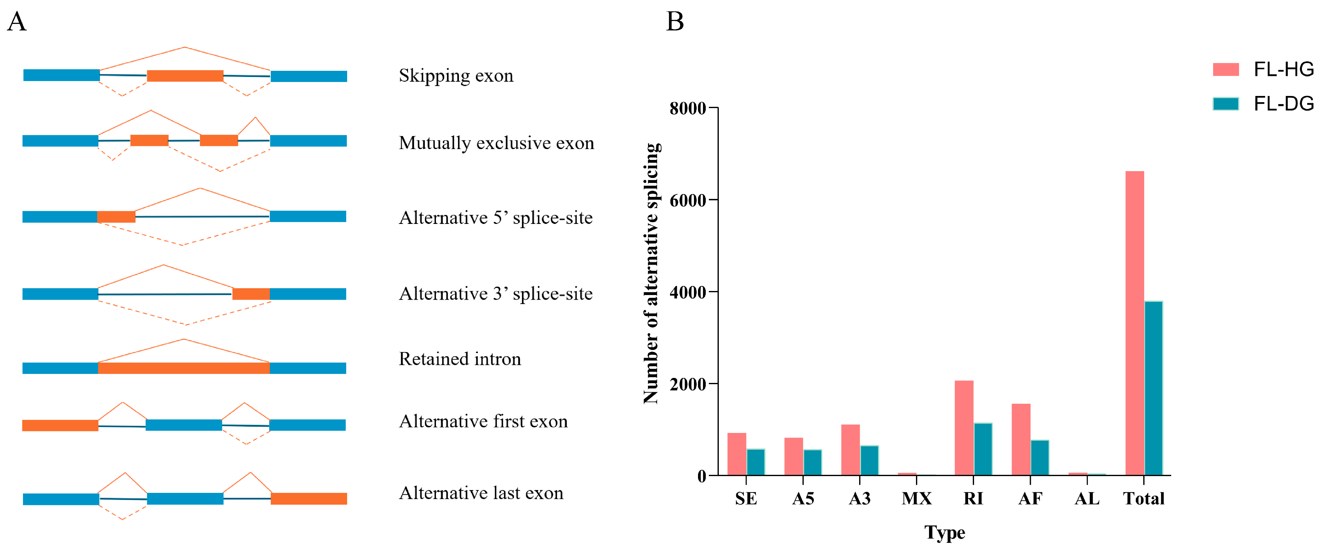 Animals 14 02058 g002