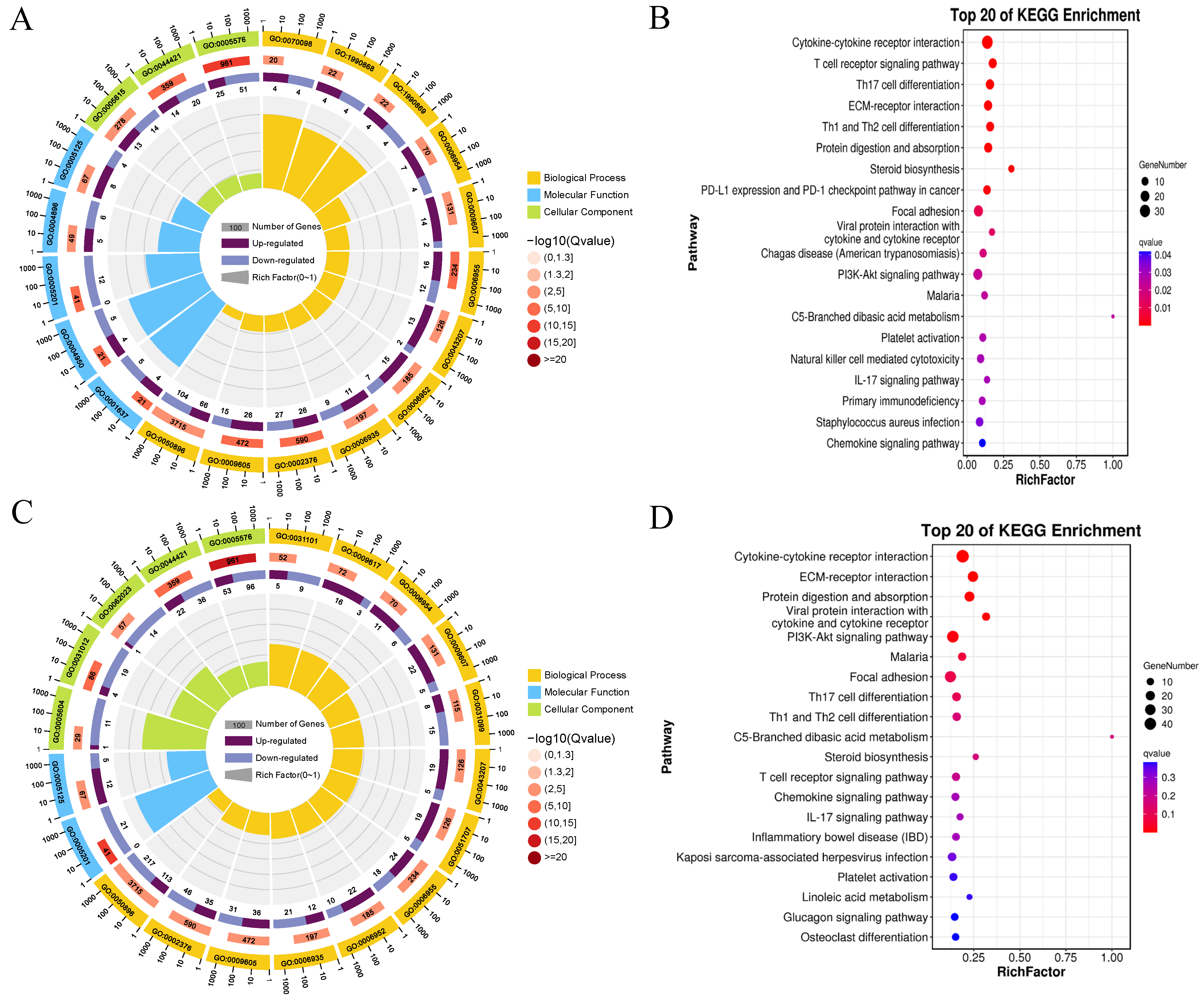 Animals 14 02058 g006