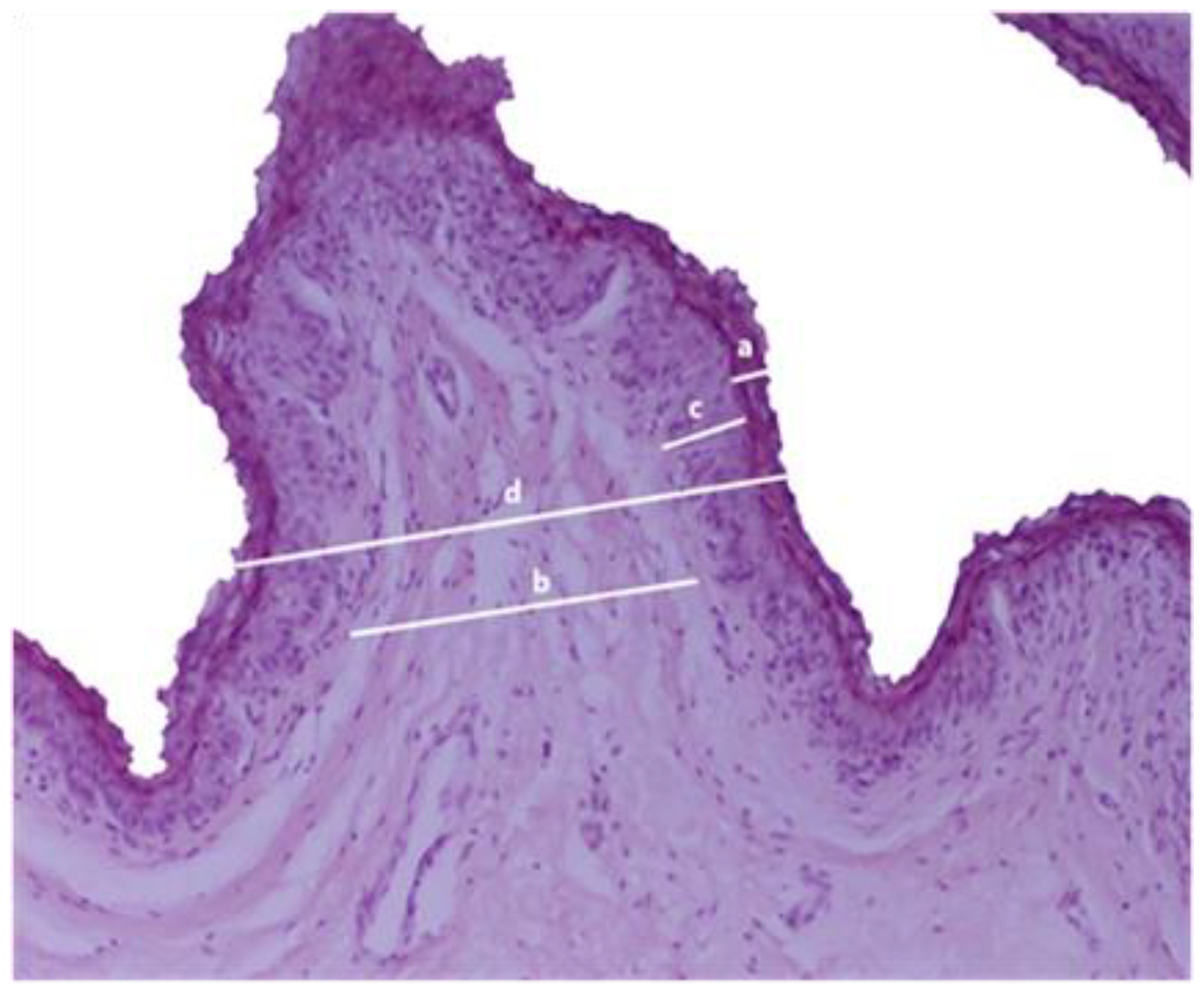 Animals 14 02061 g001