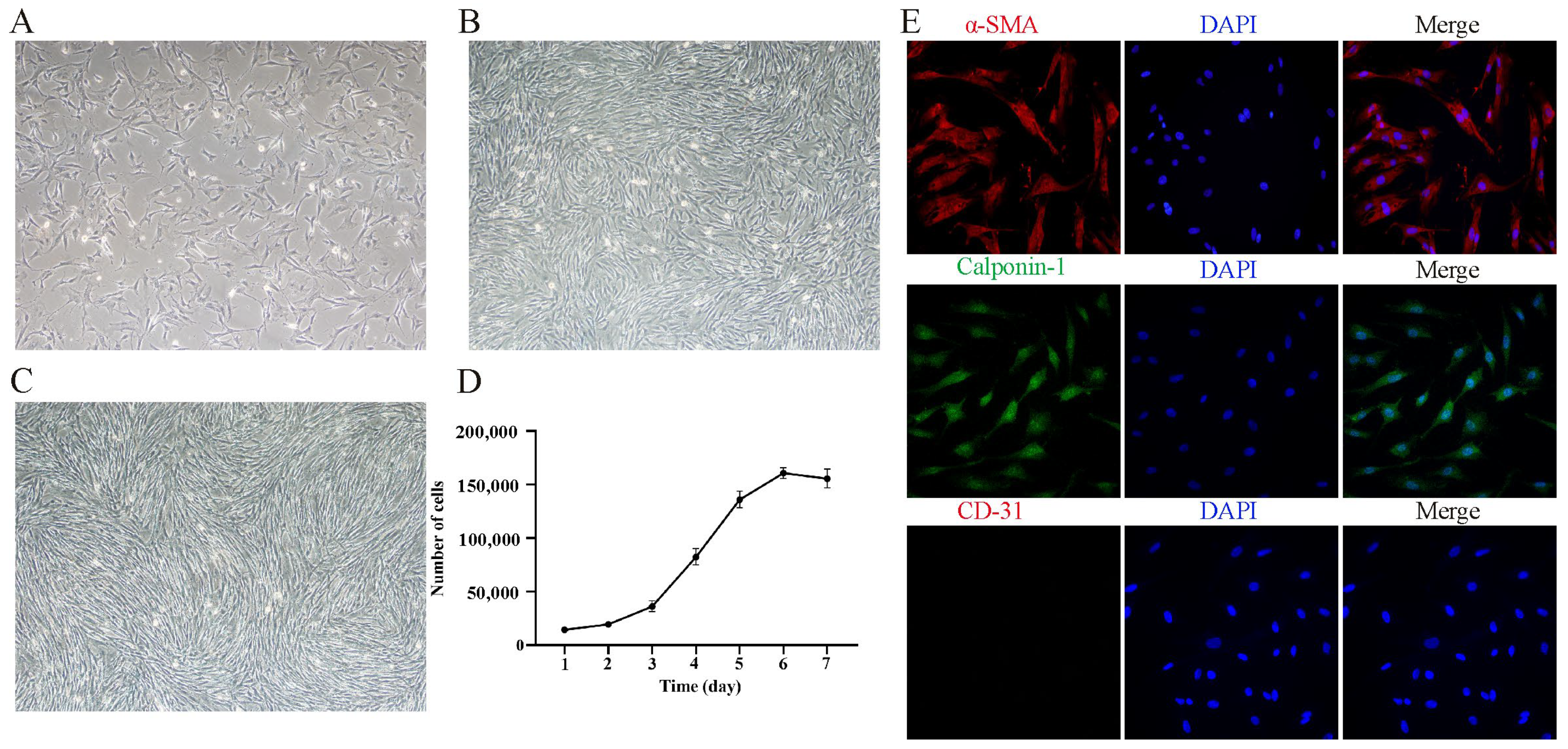Animals 14 02072 g001