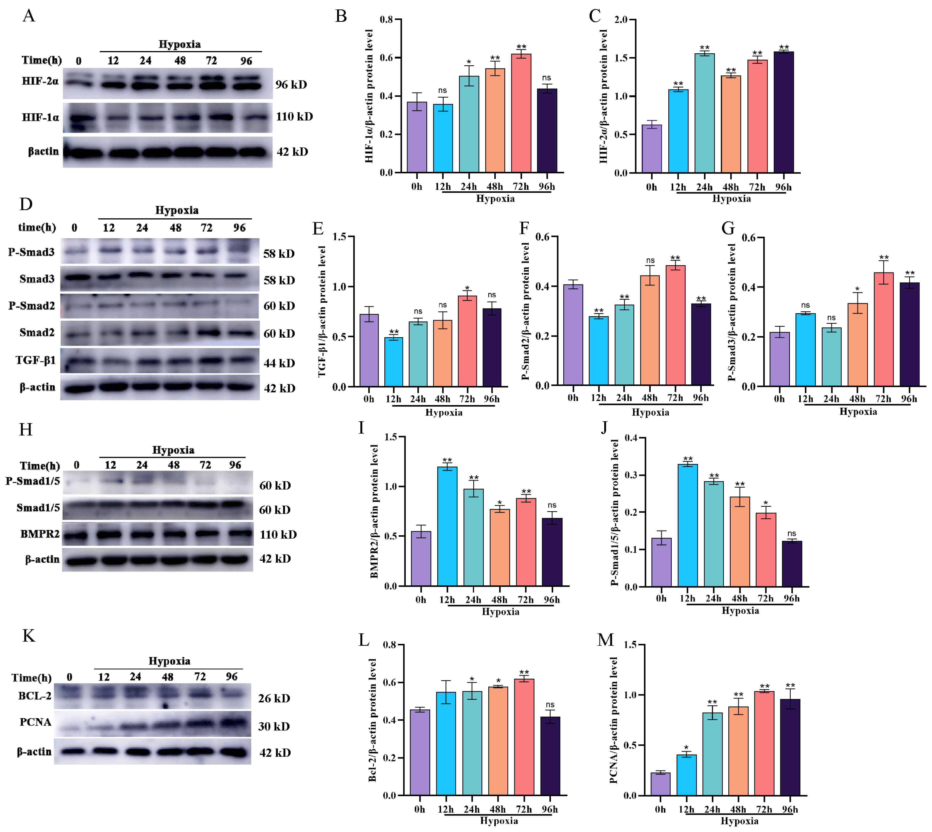 Animals 14 02072 g002