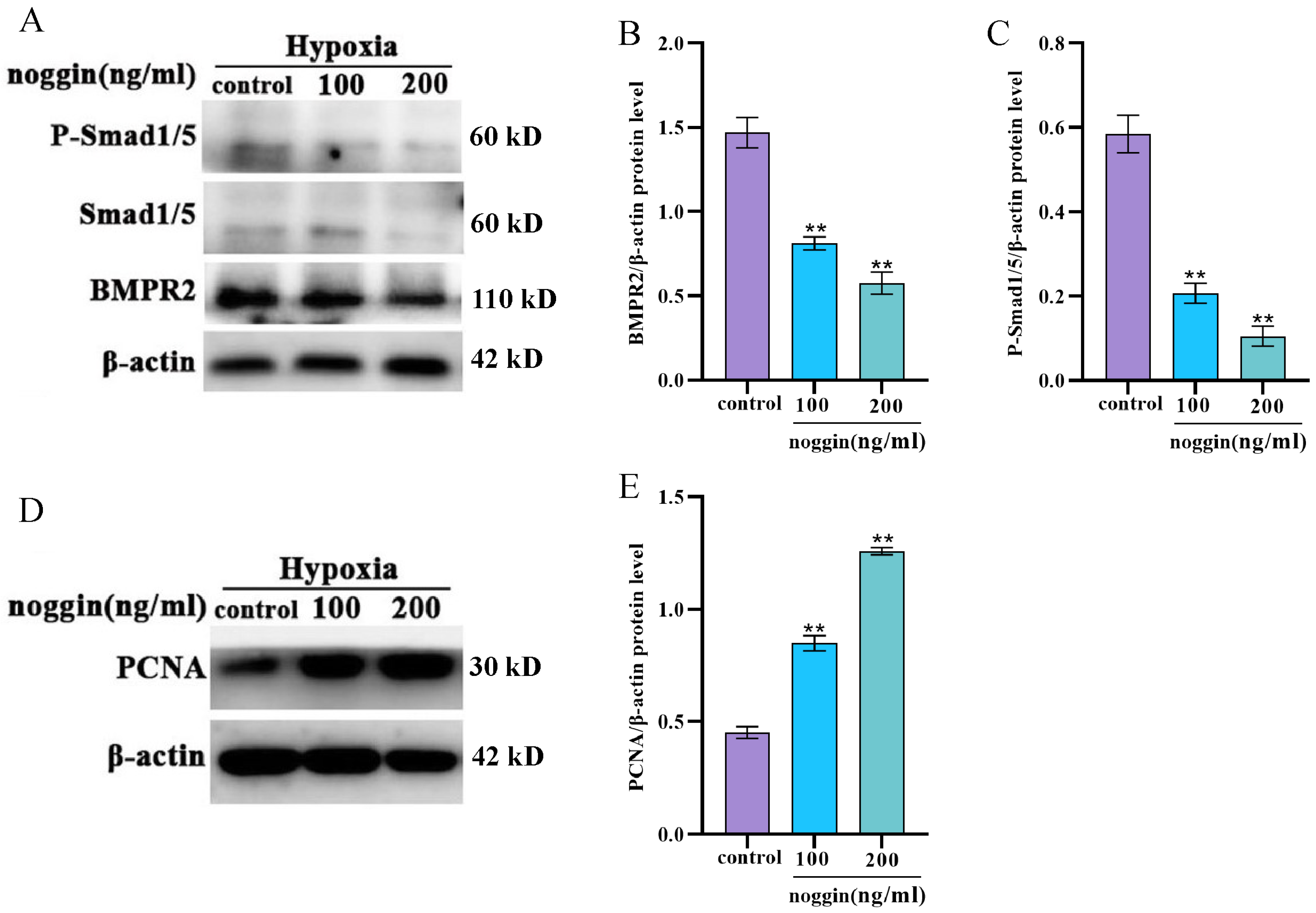 Animals 14 02072 g005