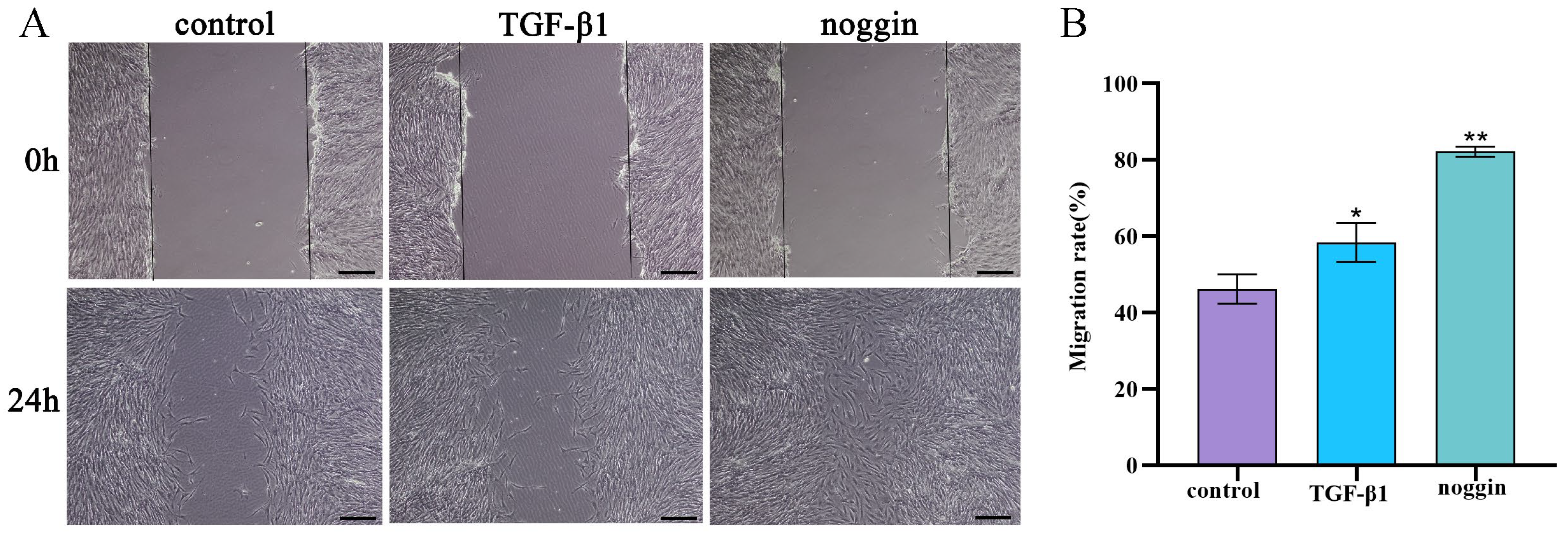 Animals 14 02072 g006