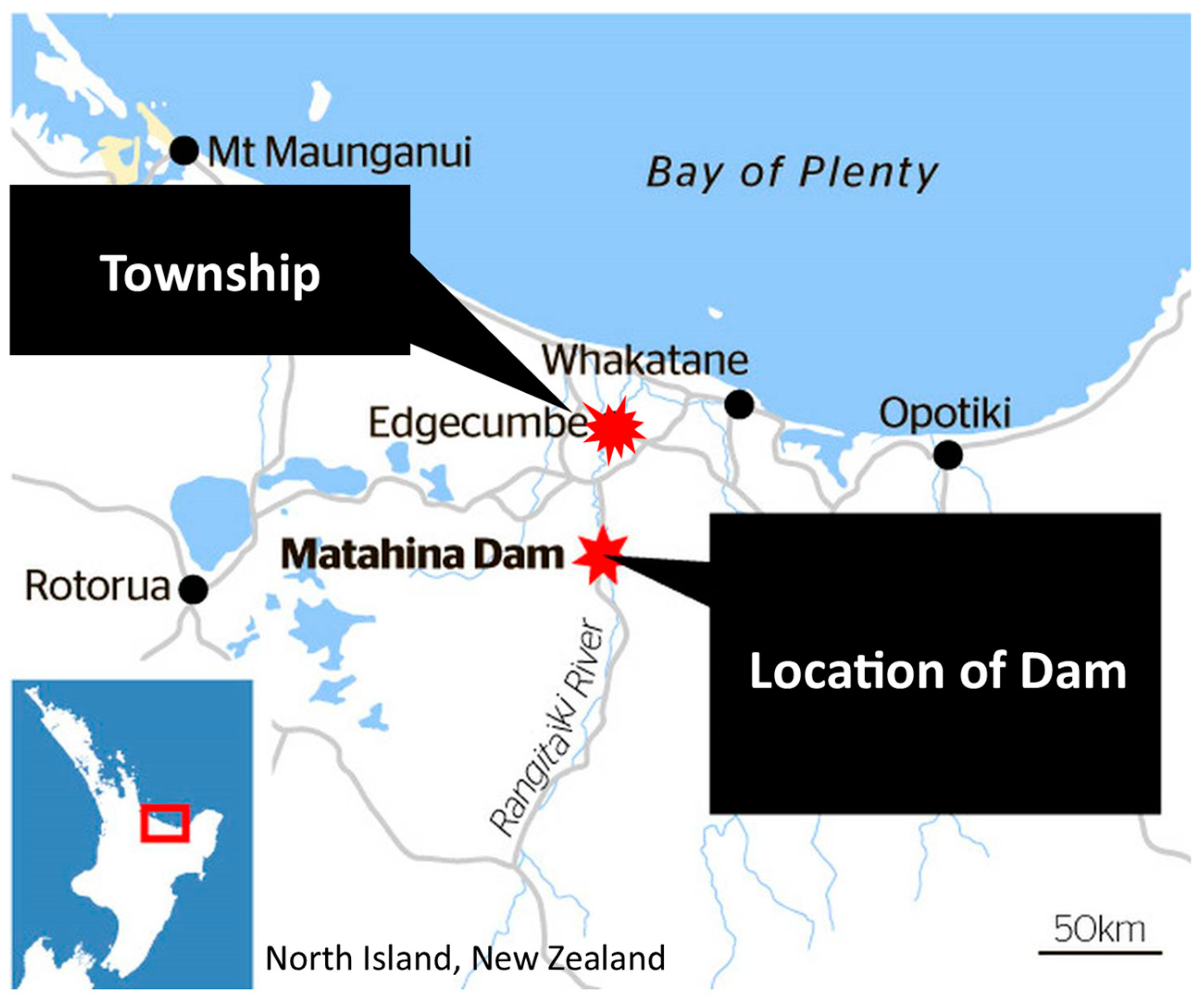 Animals 14 02083 g001