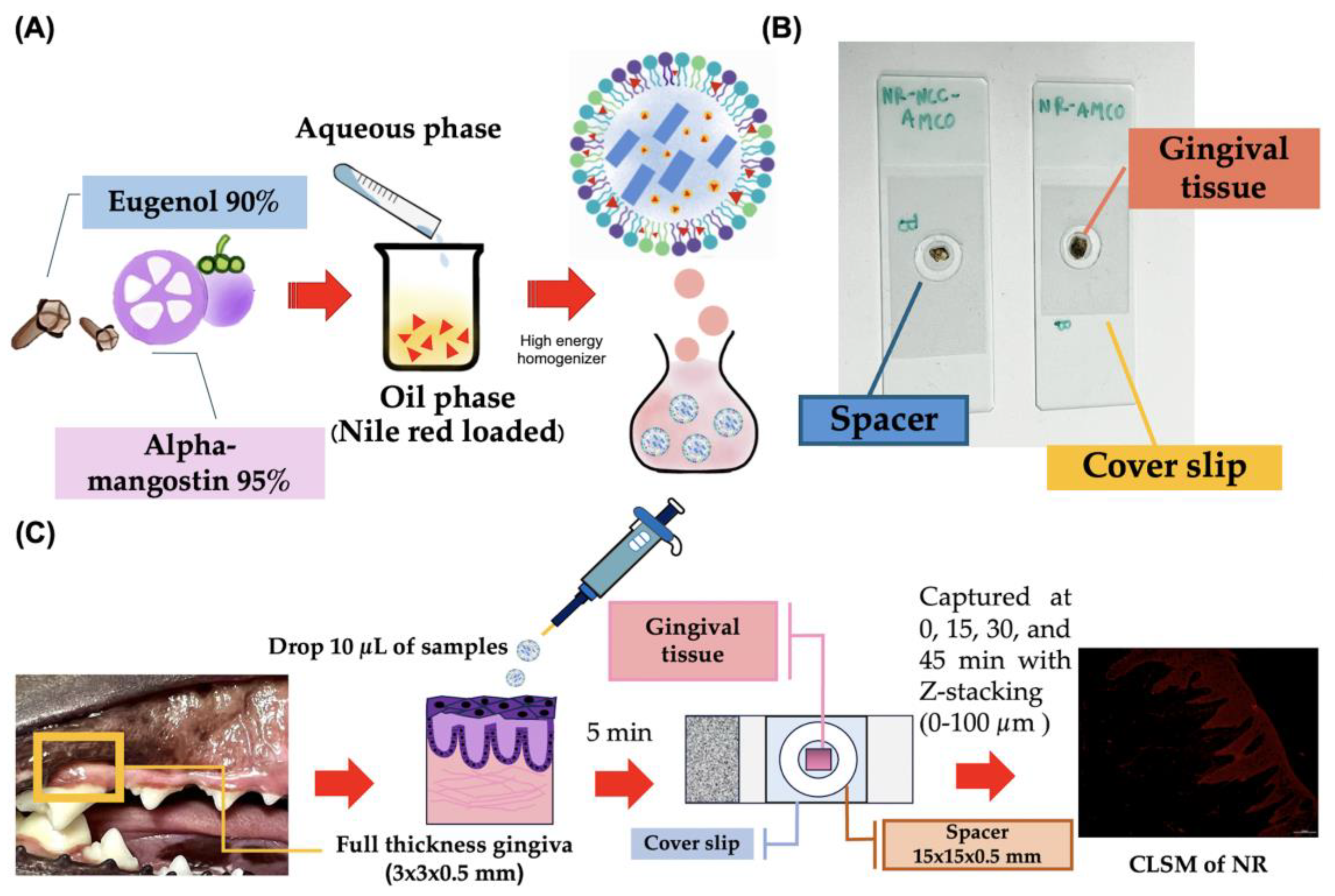 Animals 14 02084 g003