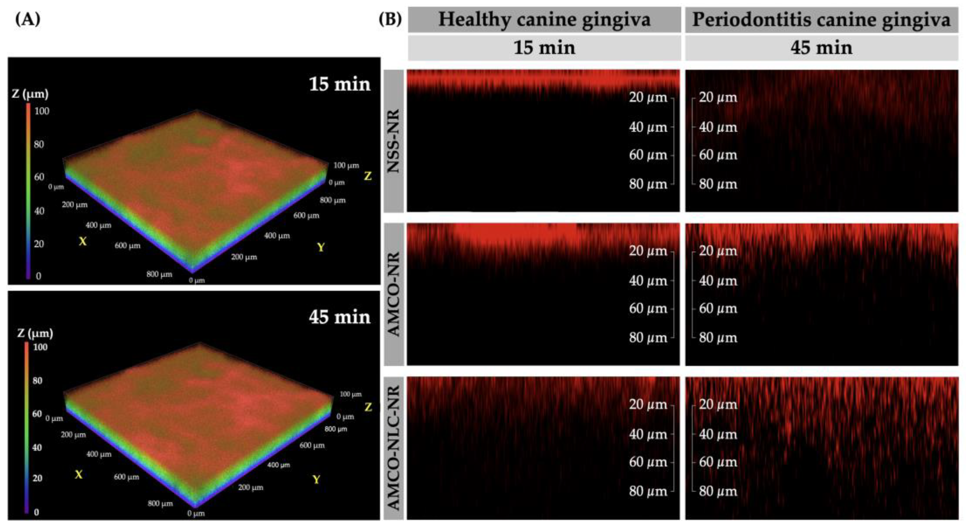 Animals 14 02084 g008