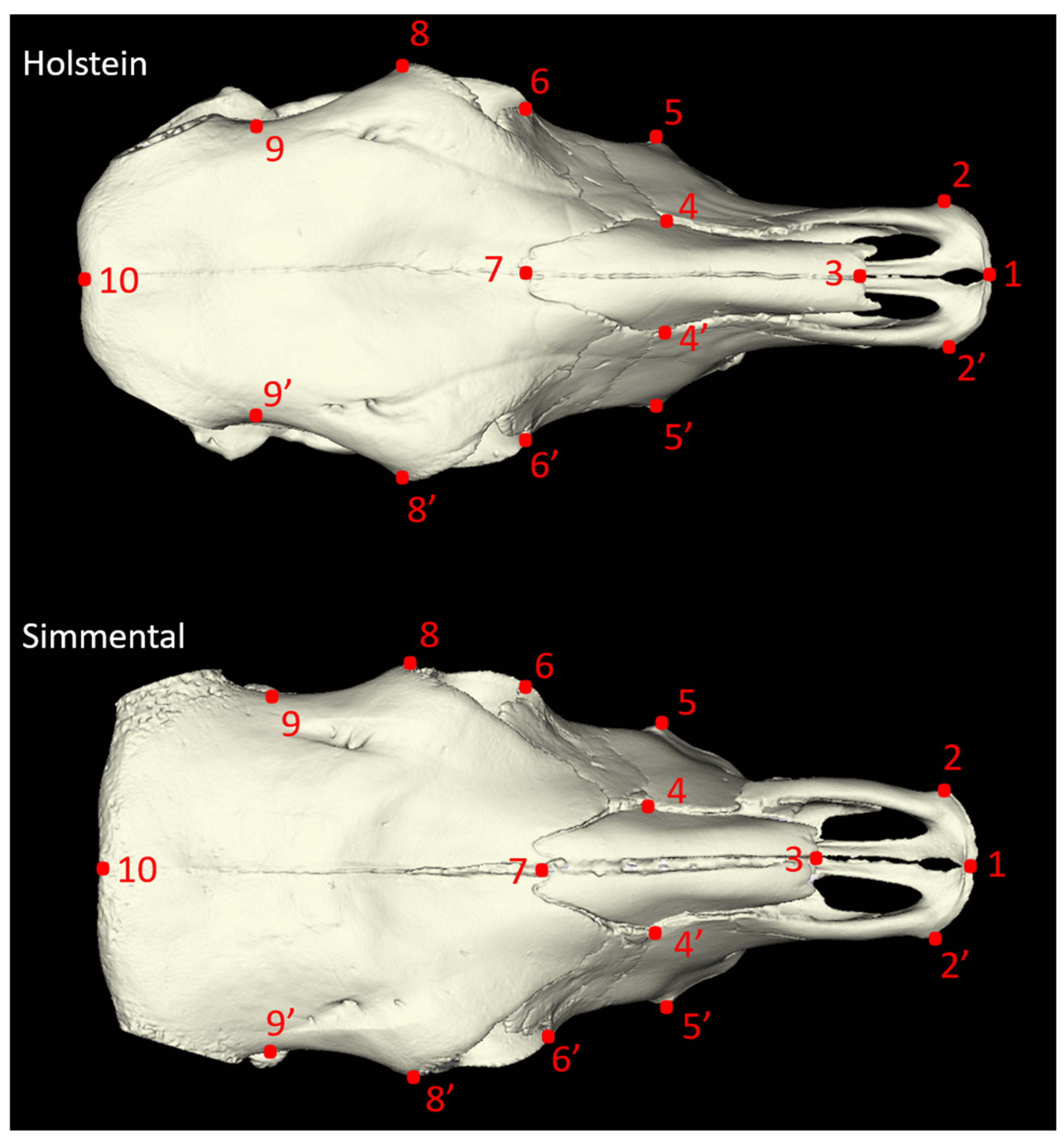Animals 14 02085 g001