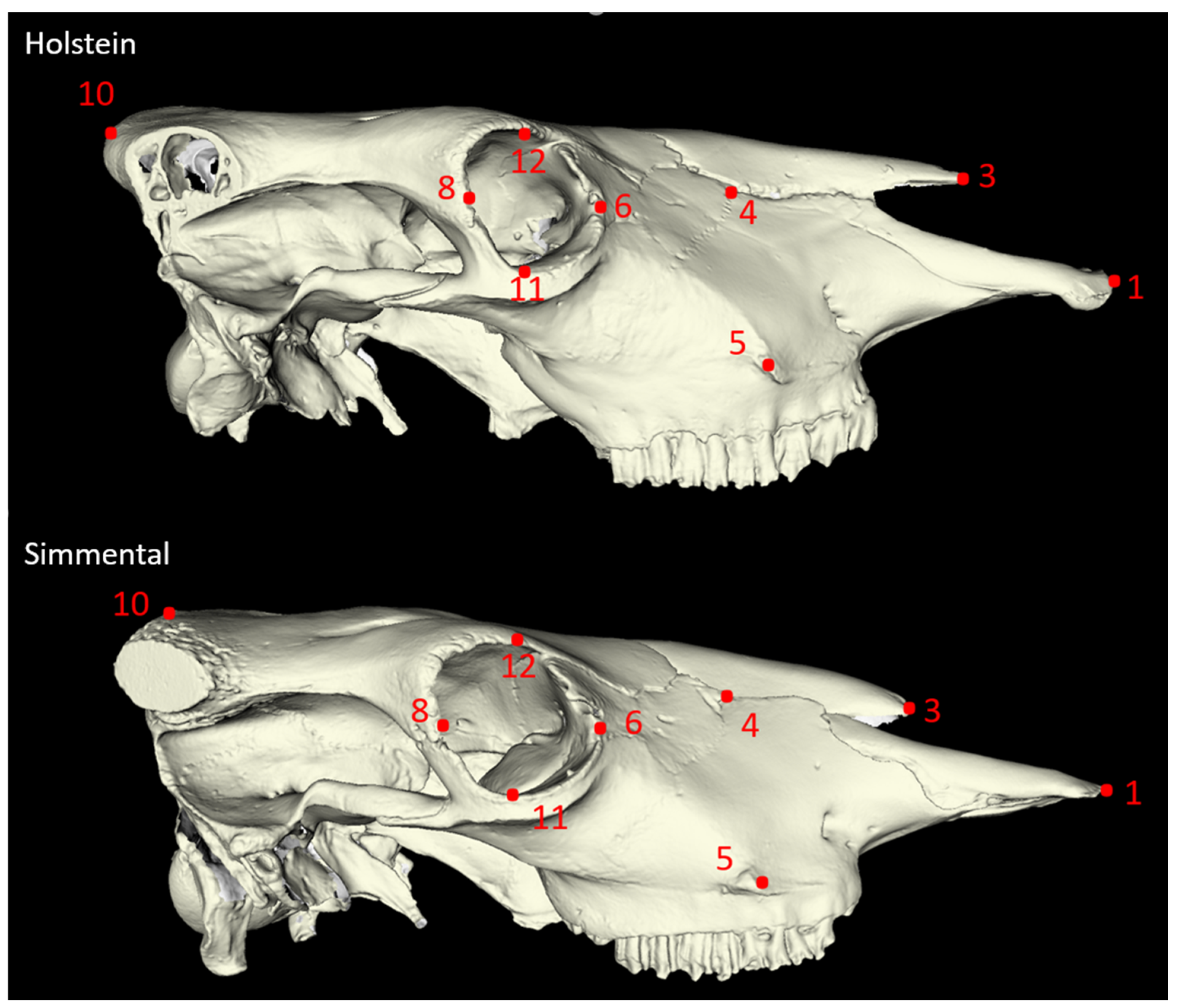 Animals 14 02085 g002