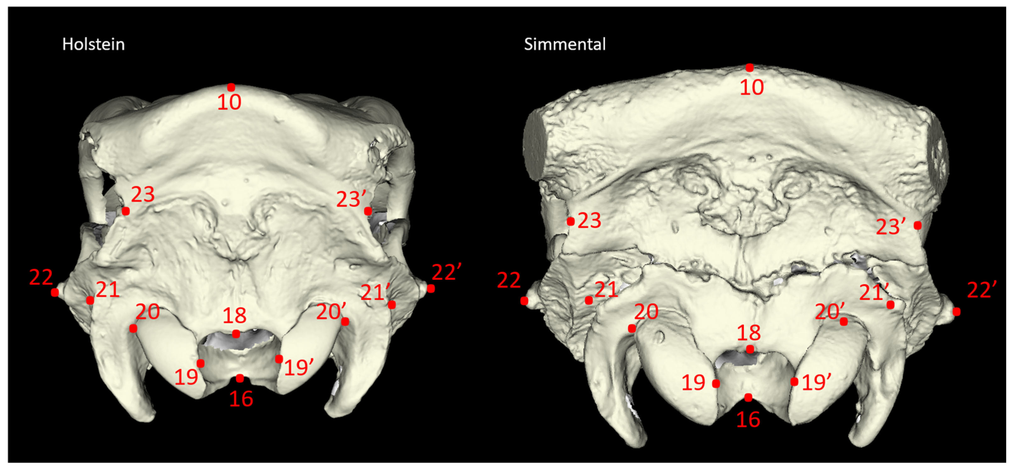 Animals 14 02085 g003