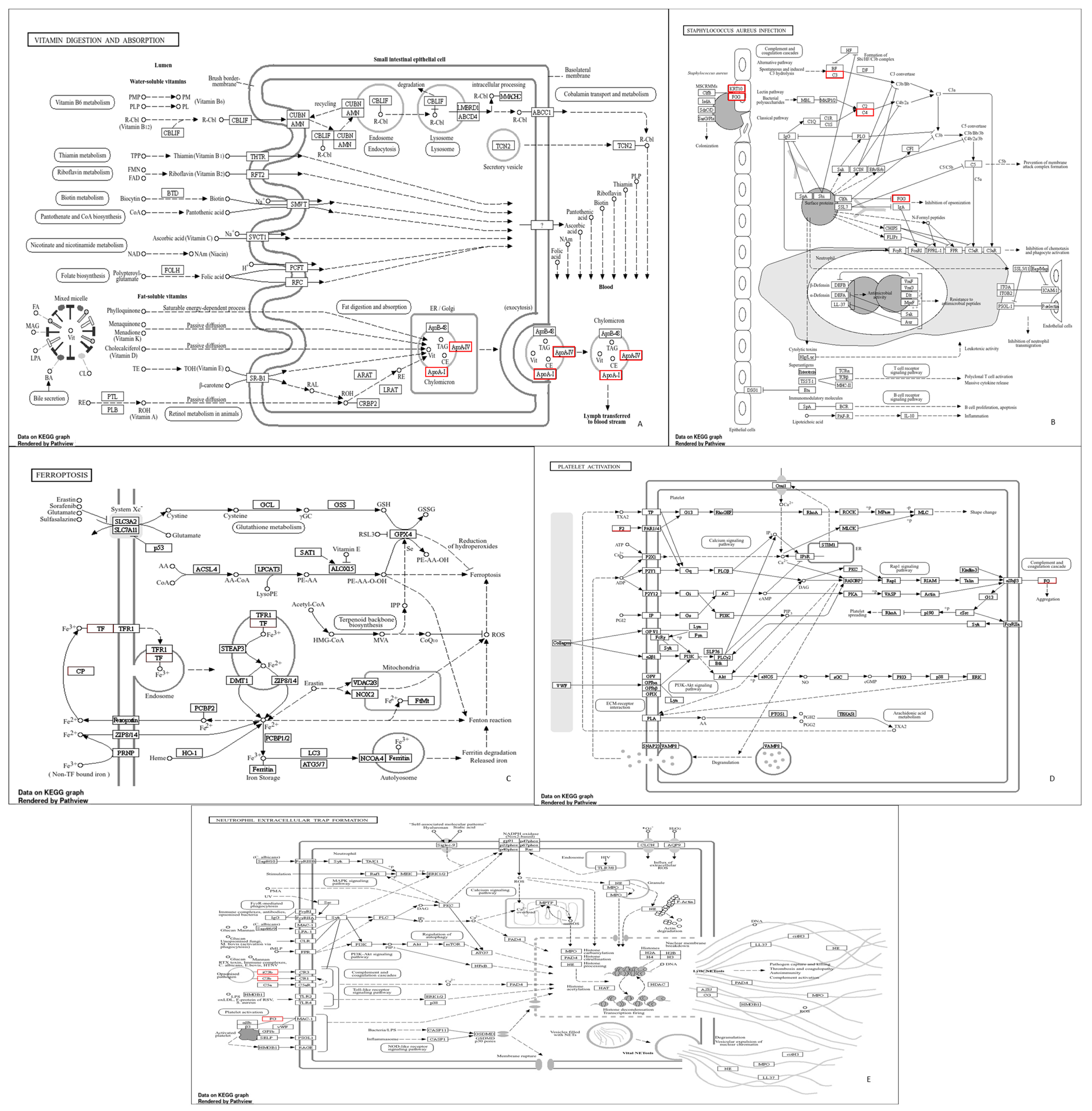 Animals 14 02100 g004
