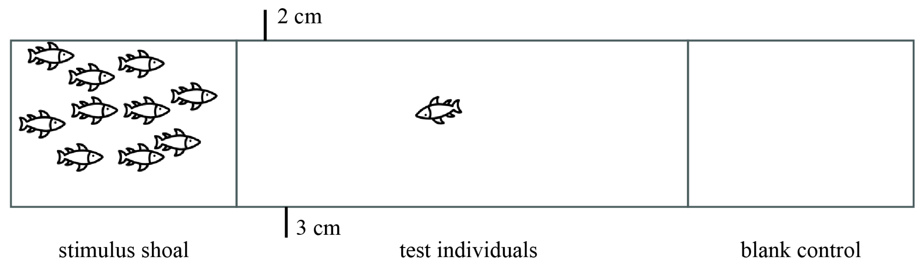 Animals 14 02101 g001 Animals 14 02101 g001