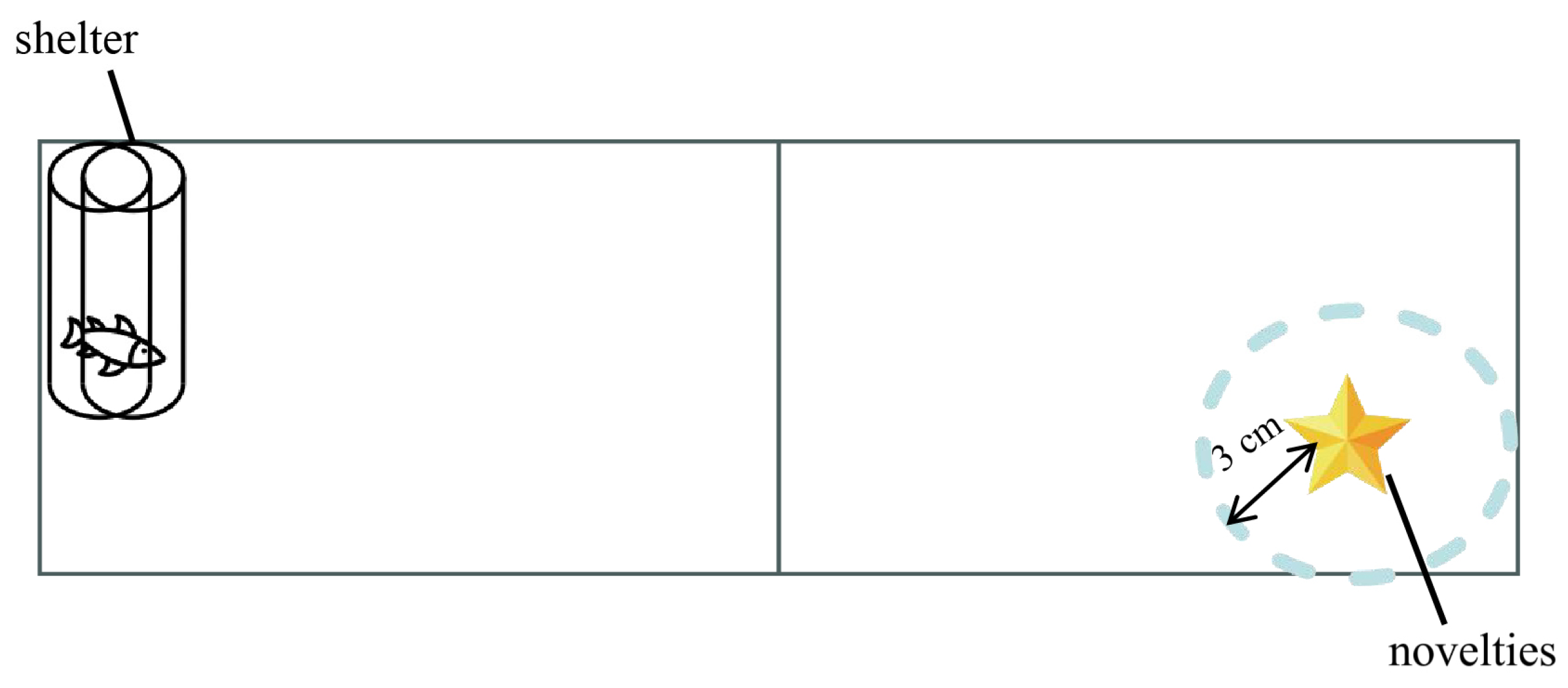 Animals 14 02101 g002 Animals 14 02101 g002