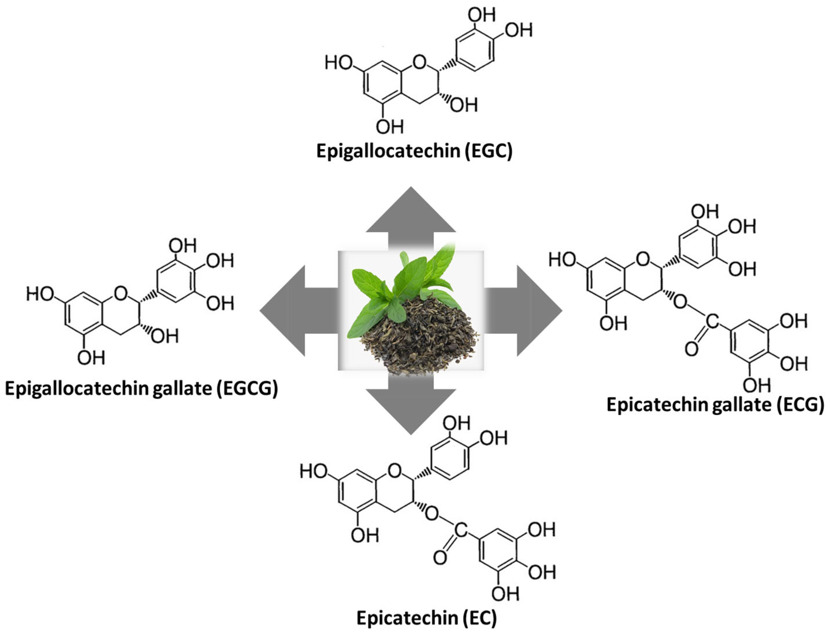 Animals 14 02104 g001