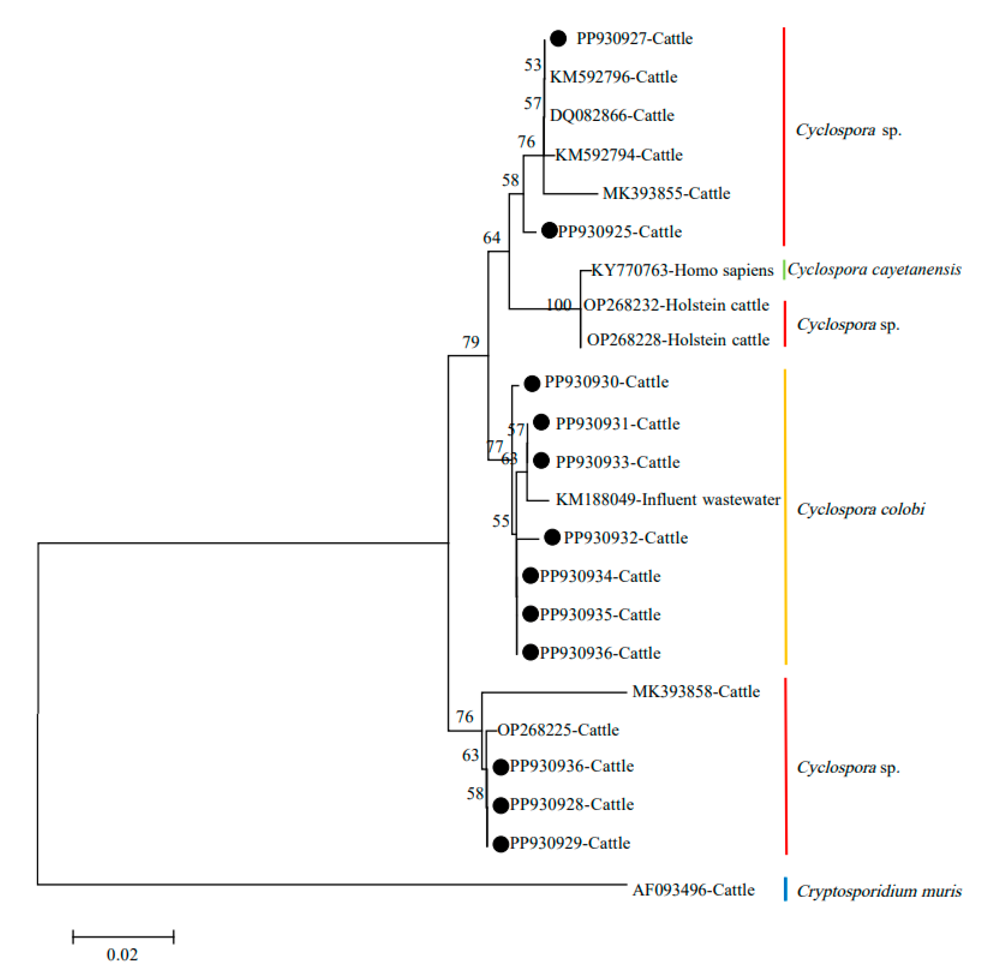 Animals 14 02114 g002 Animals 14 02114 g002