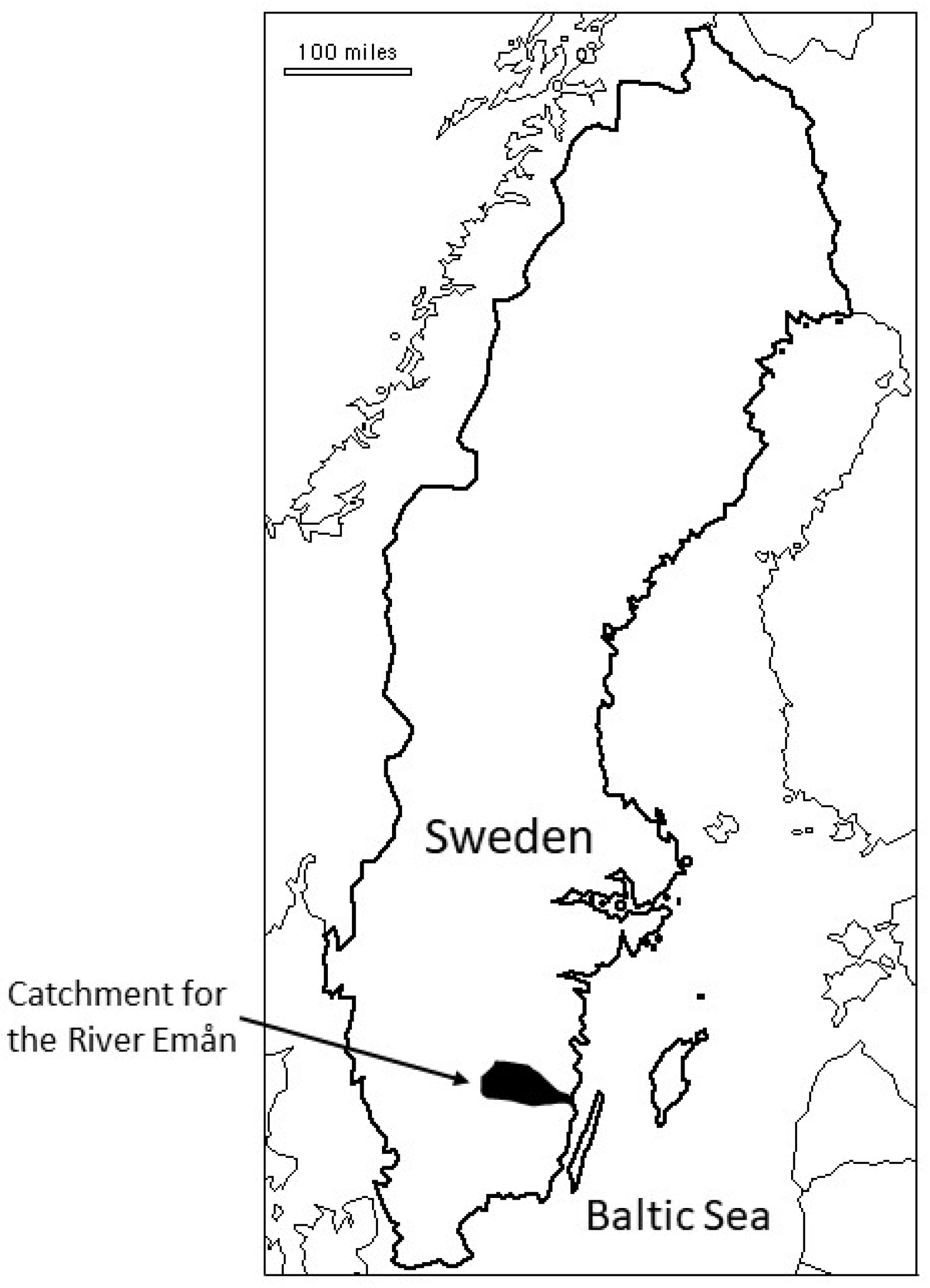 Animals 14 02116 g001