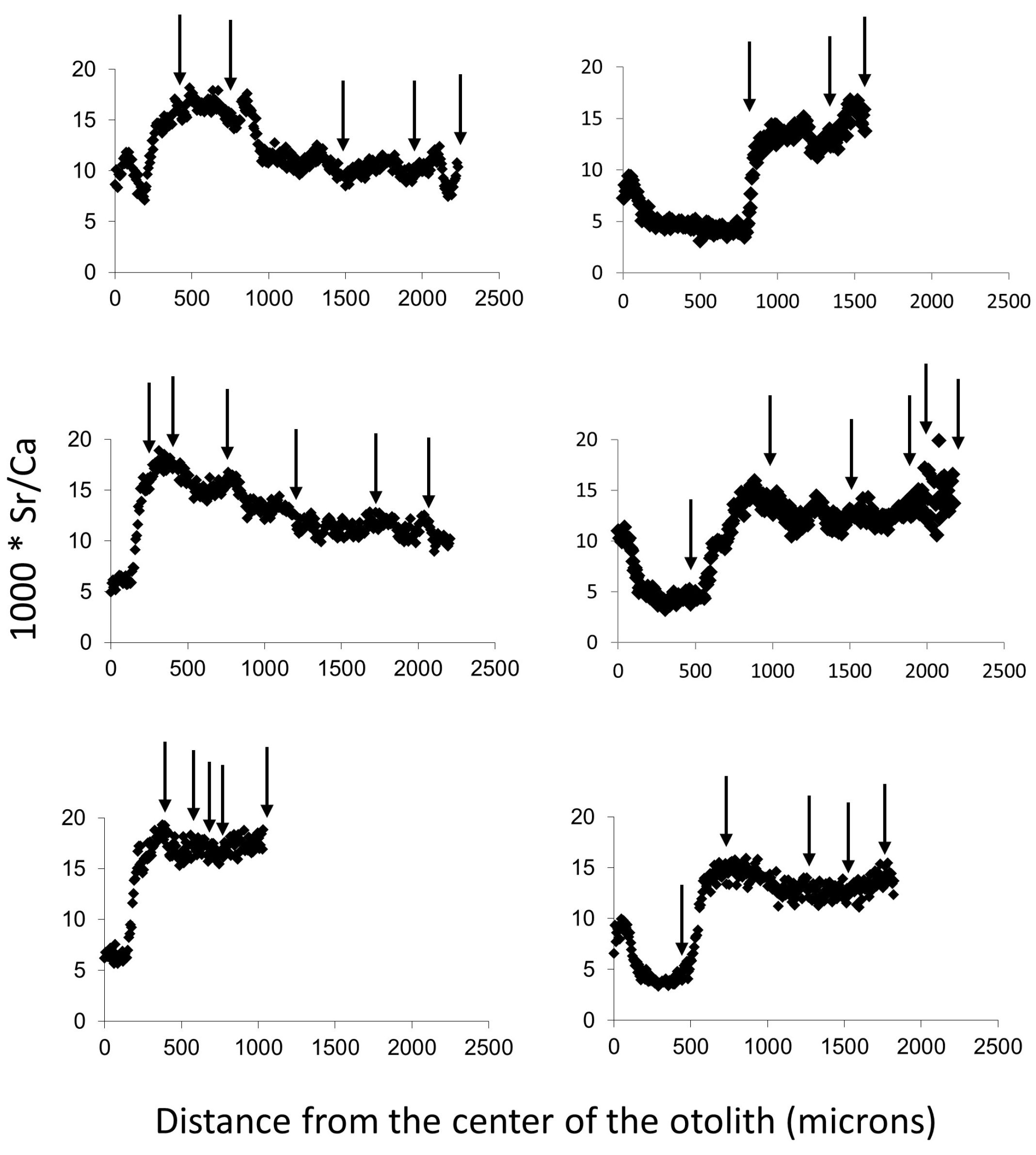 Animals 14 02116 g002