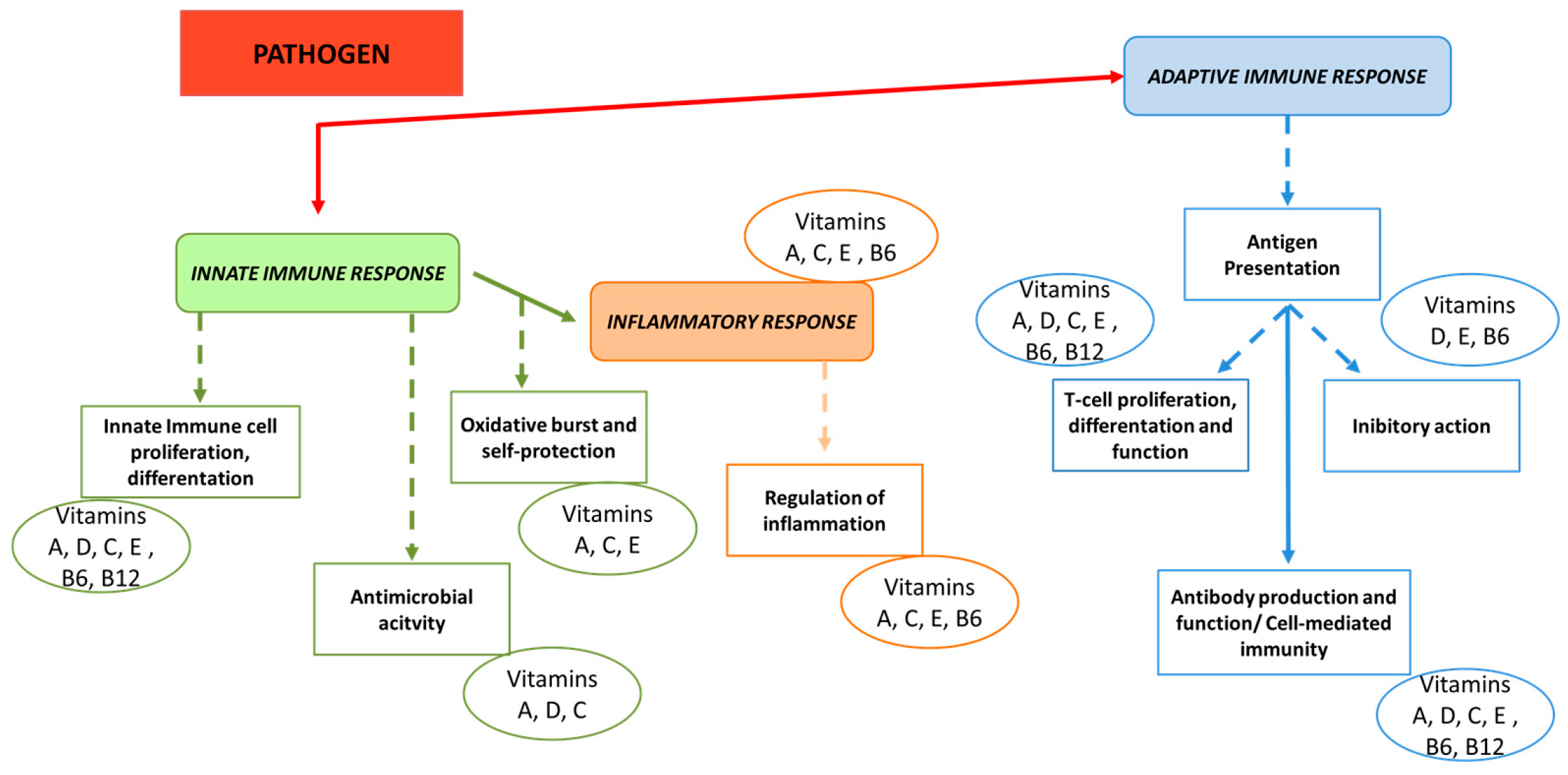 Animals 14 02126 g003