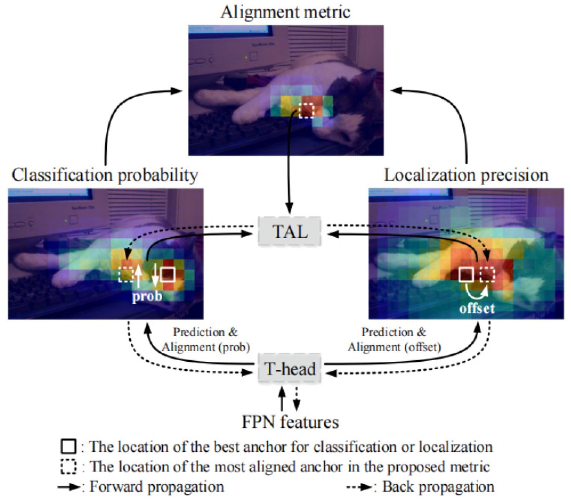 Animals 14 02128 g003