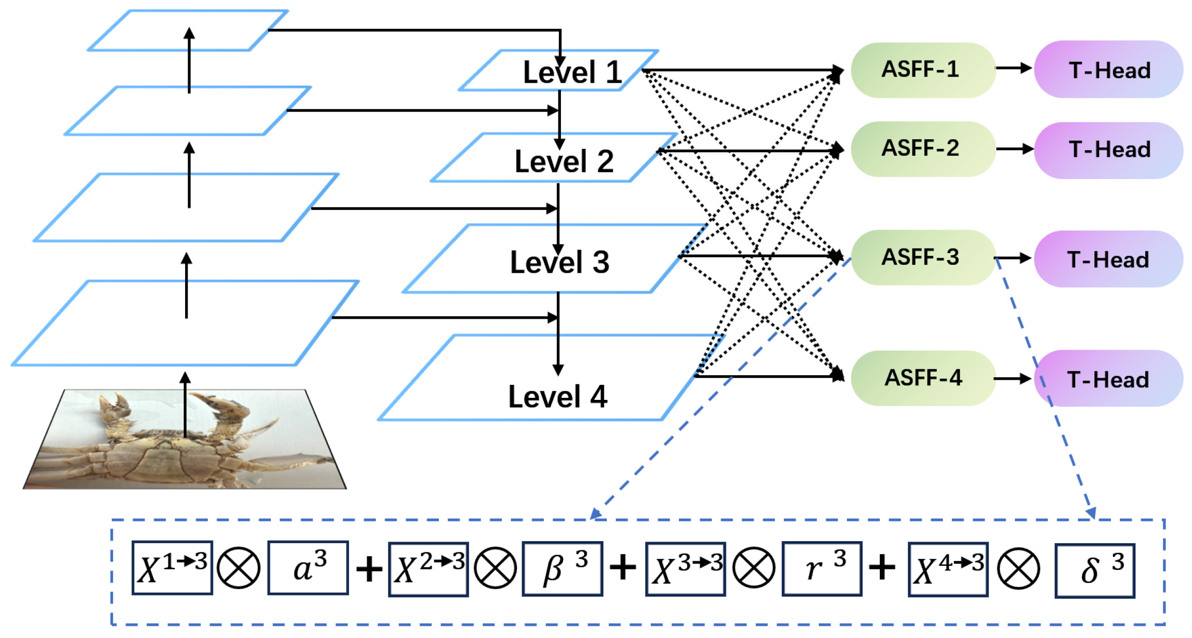 Animals 14 02128 g010