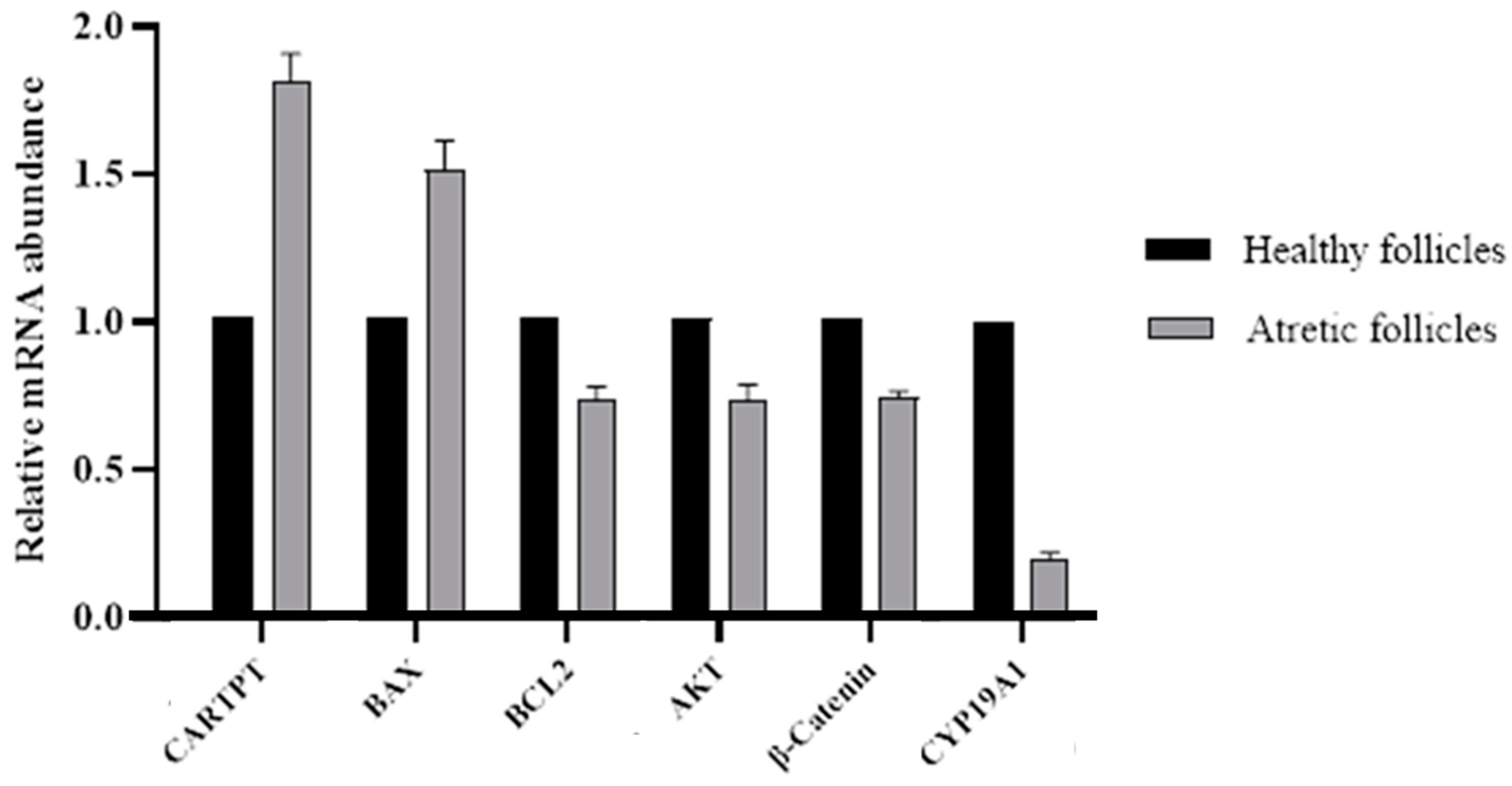 Animals 14 02138 g002
