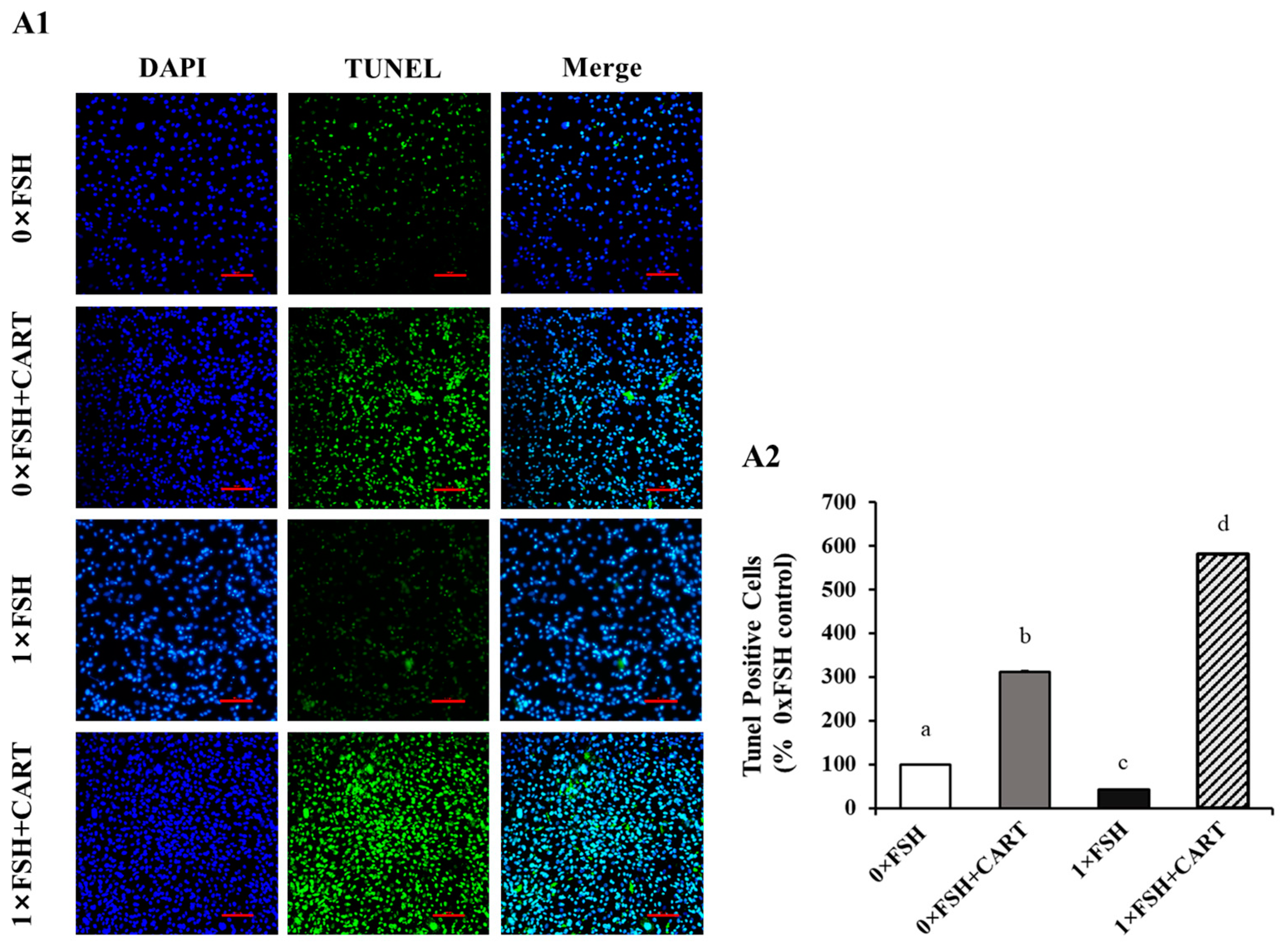 Animals 14 02138 g005