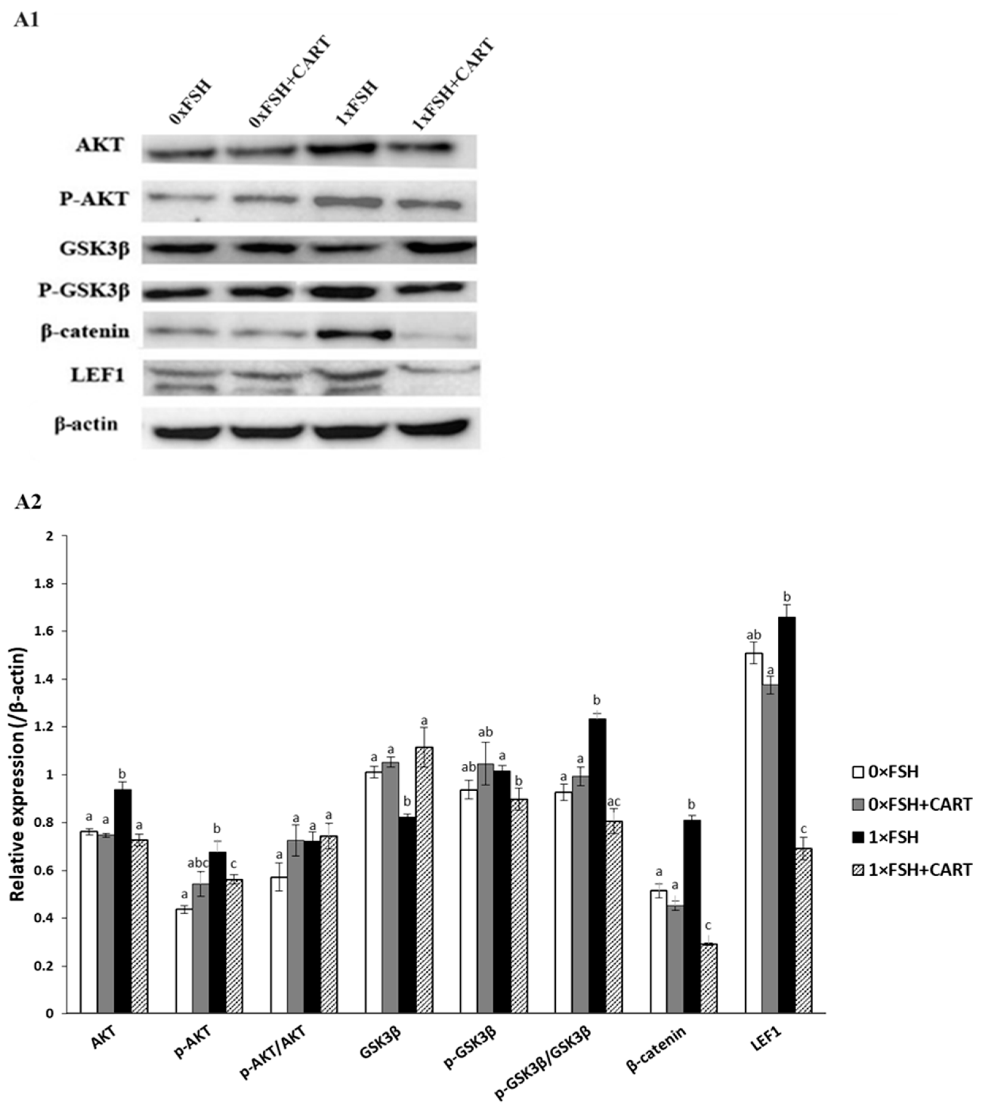 Animals 14 02138 g007